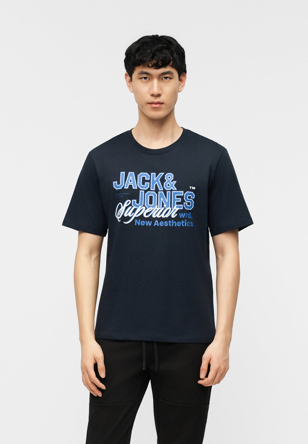 JJELOGO TEE O NECK 5 PACK - Print T-shirt - vetiver/blue mirage/mineral blue/atlantic deep/navy blazer