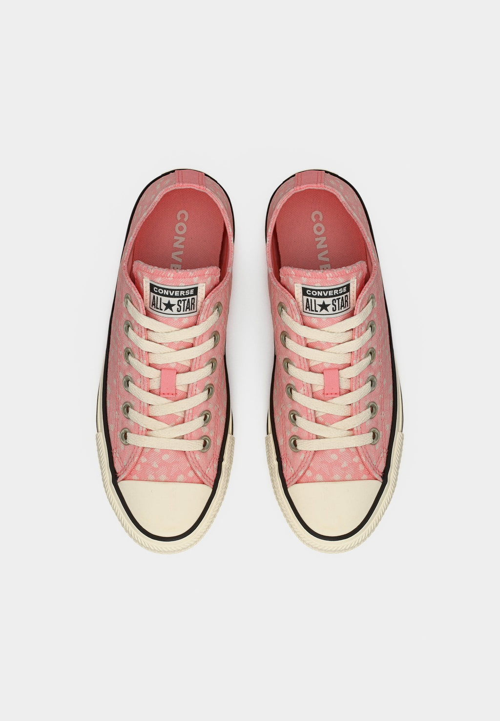 CHUCK TAYLOR ALL STAR - Trainers - ok bloomer/egret/black