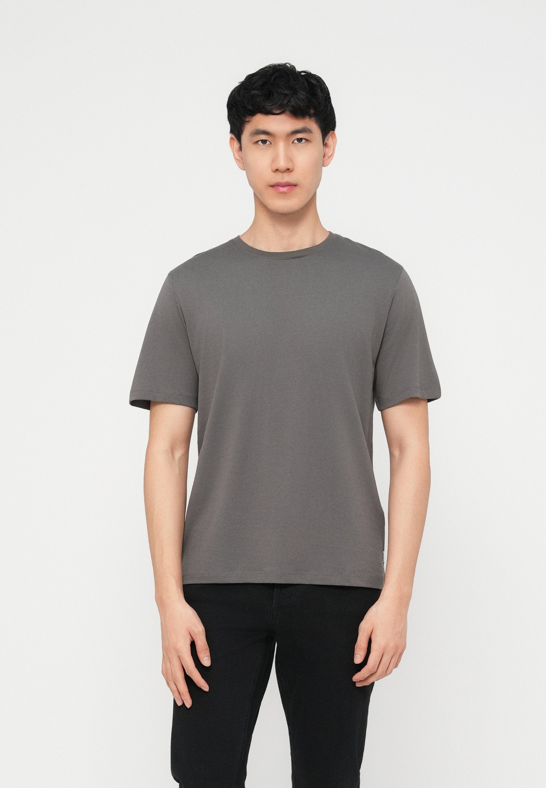 JJEORGANIC BASIC TEE O NECK 5 PACK - T-shirt basique - moonbeam/crockery/olive night/castlerock/ultimate grey