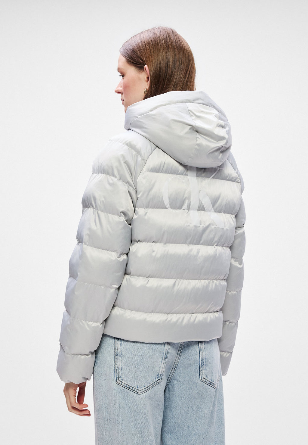 LIGHTWEIGHT LOGO  - Winter jacket - quiet gray
