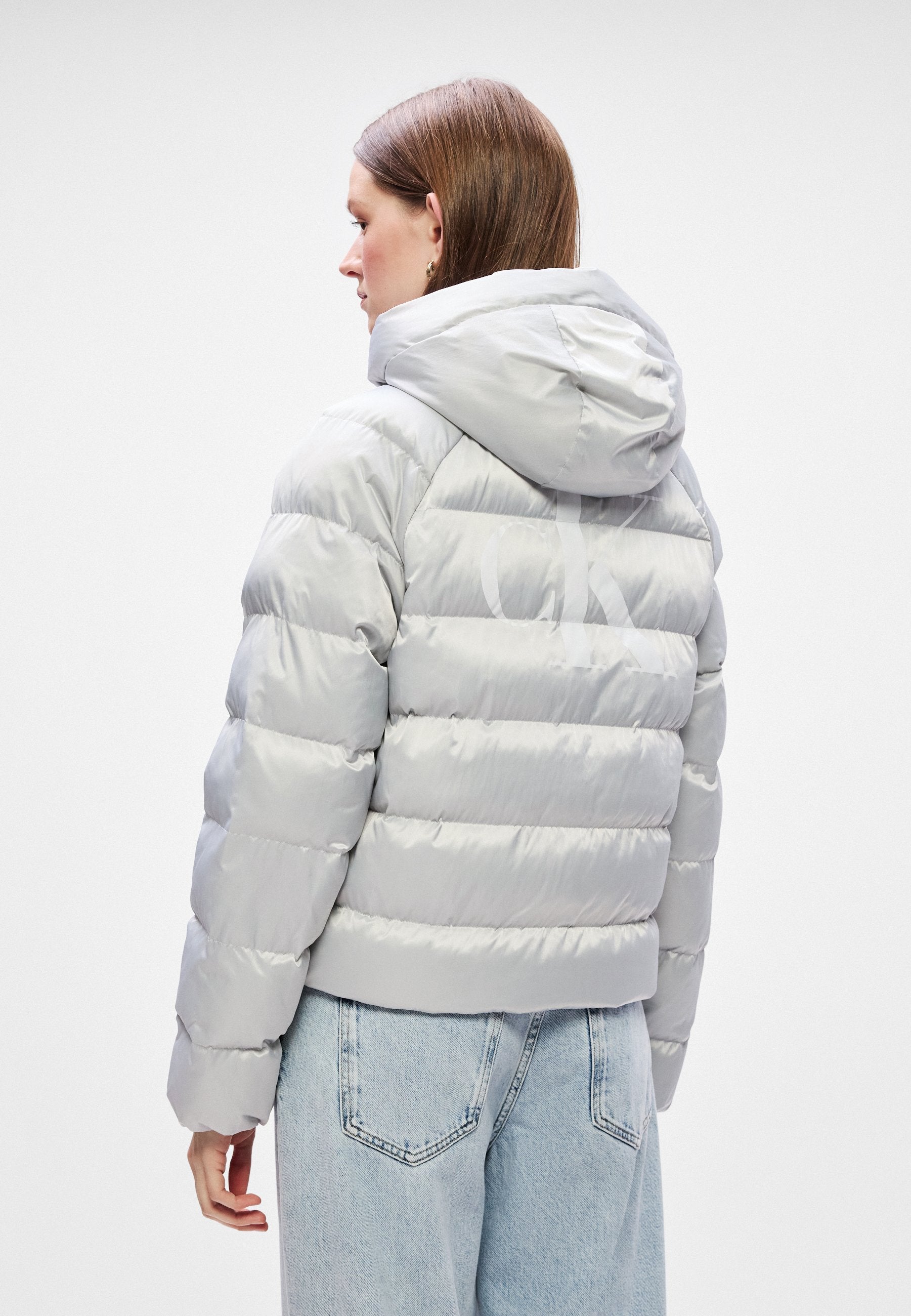 LIGHTWEIGHT LOGO  - Winter jacket - quiet gray