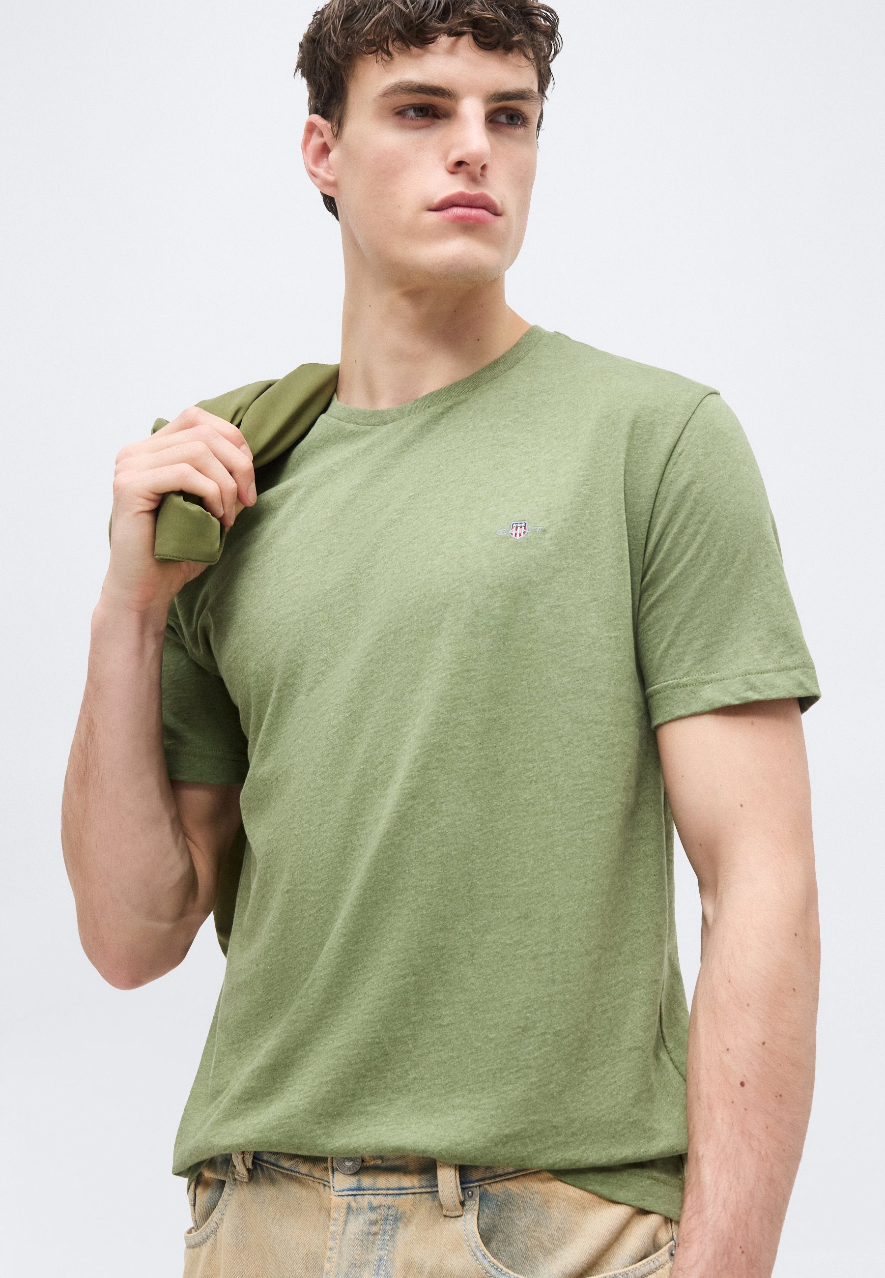 REG SHIELD SS T-SHIRT - Basic T-shirt - dark cactus melange