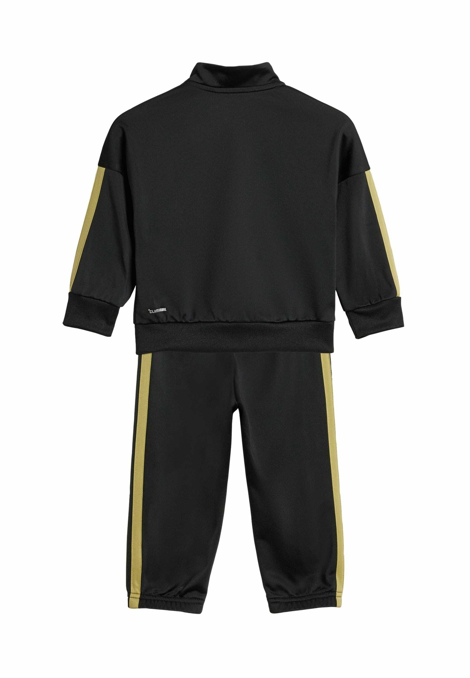 SET - Tracksuit - black   gold metallic