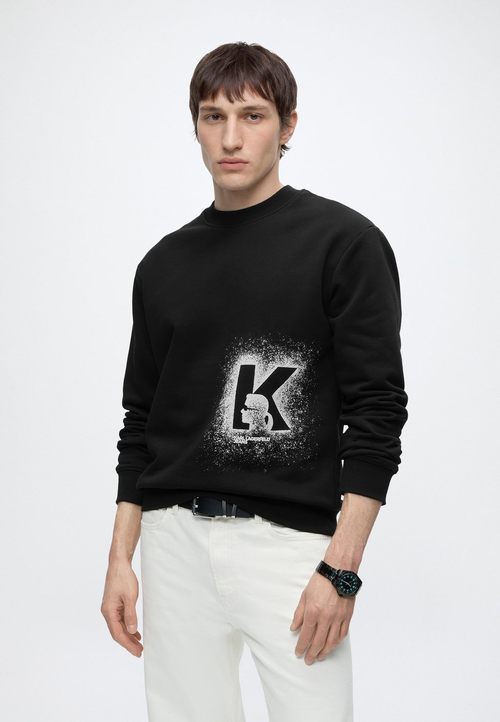 REG LOGO SWEAT - Sweatshirt - black