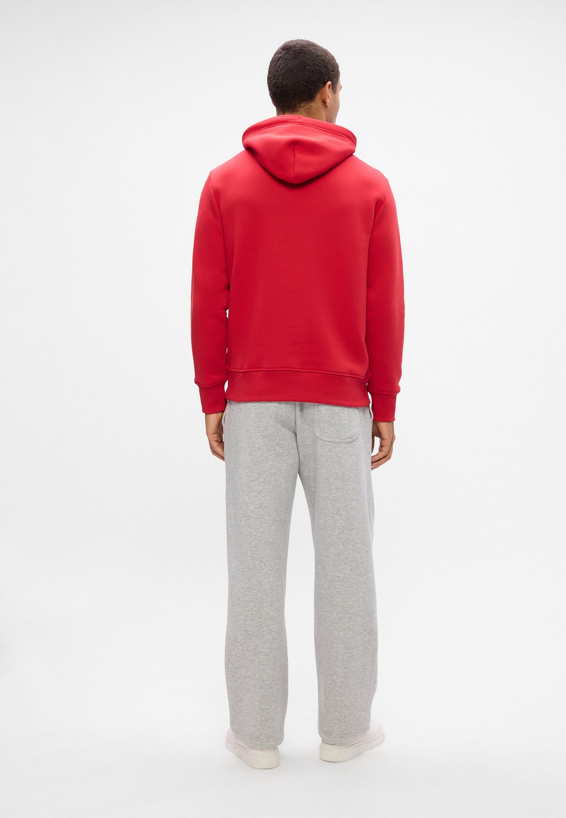 GRAPHIC HOODIE - Hoodie - ruby red