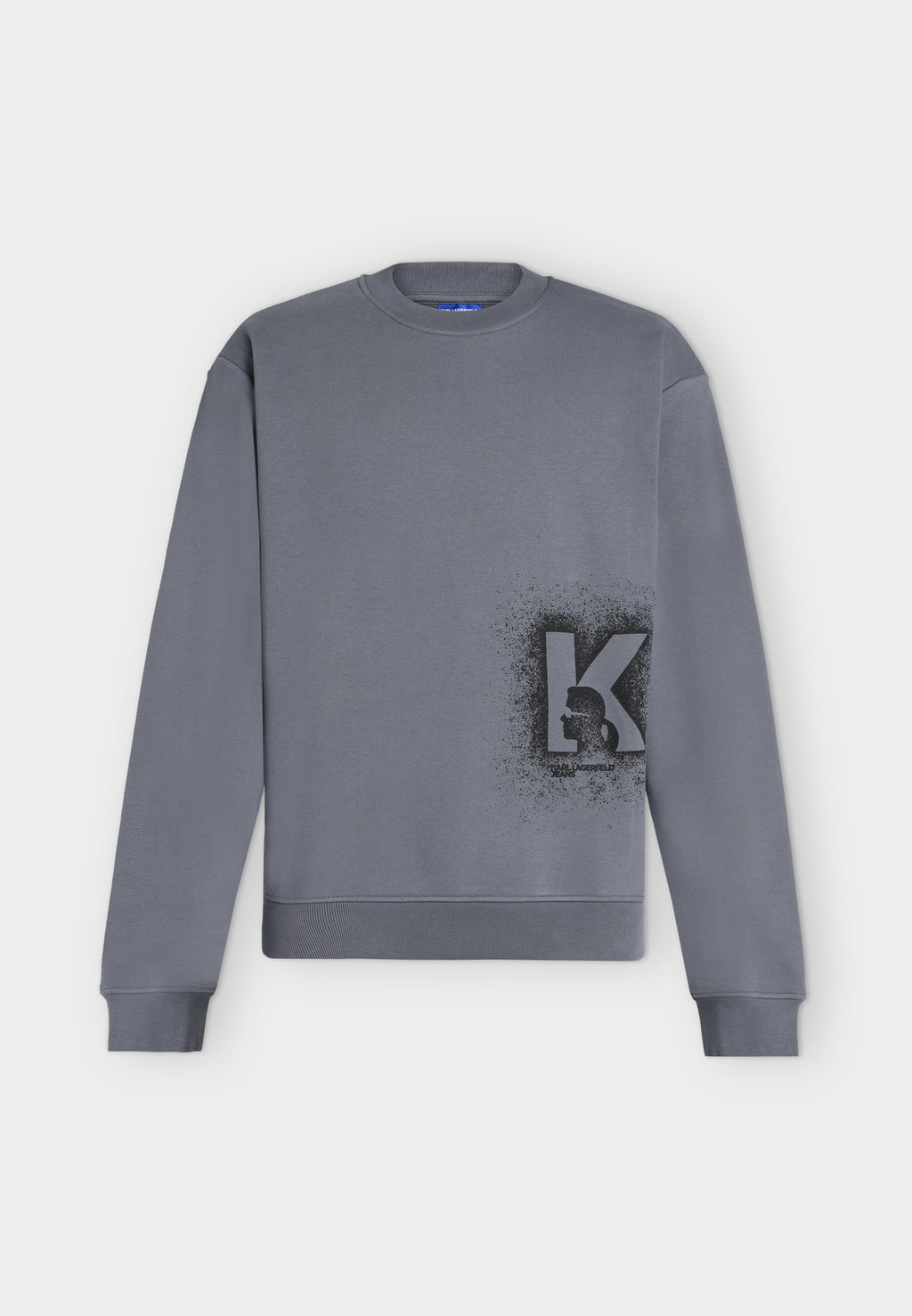 REG LOGO SWEAT - Sweatshirt - grisaille
