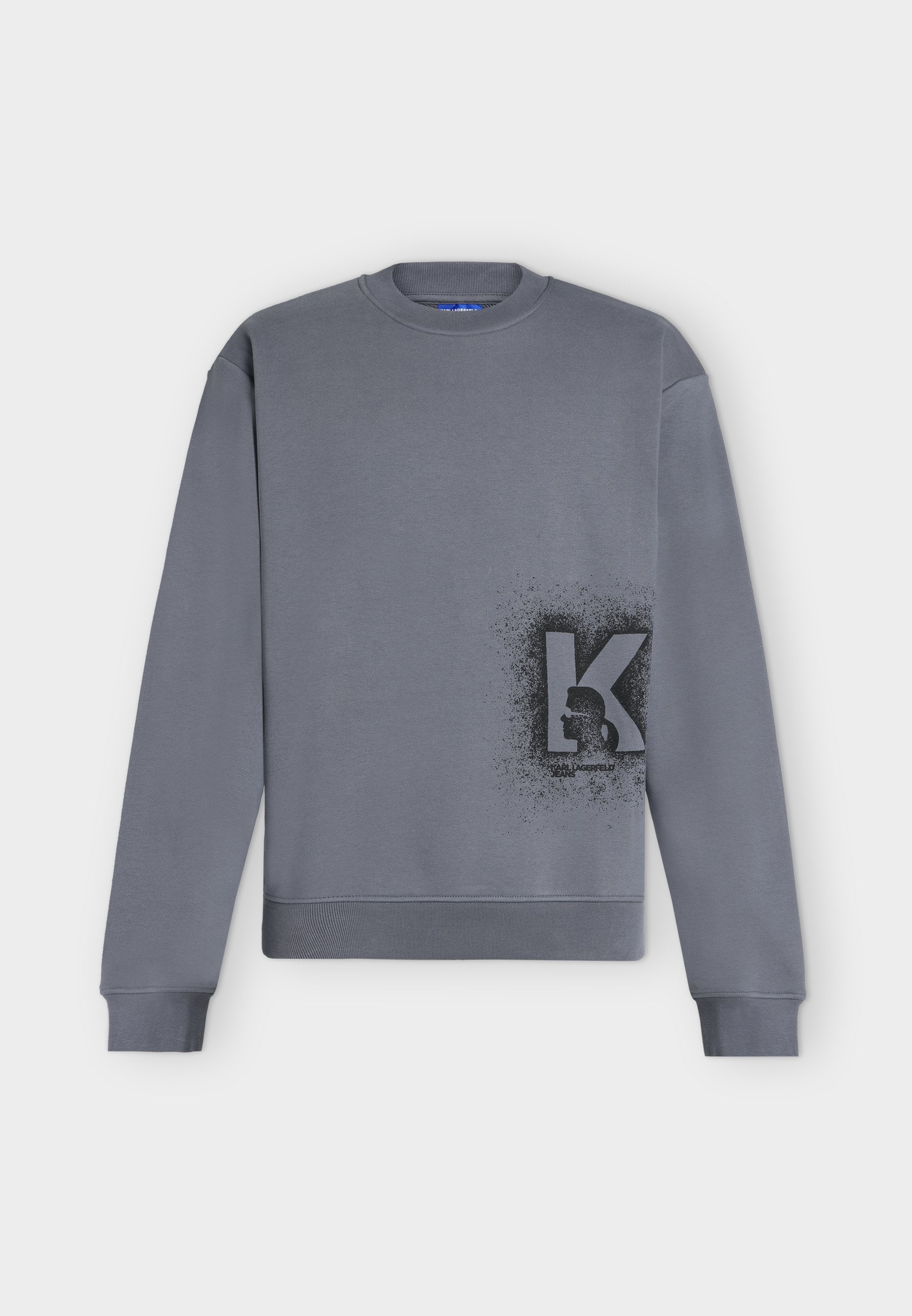 REG LOGO SWEAT - Sweatshirt - grisaille
