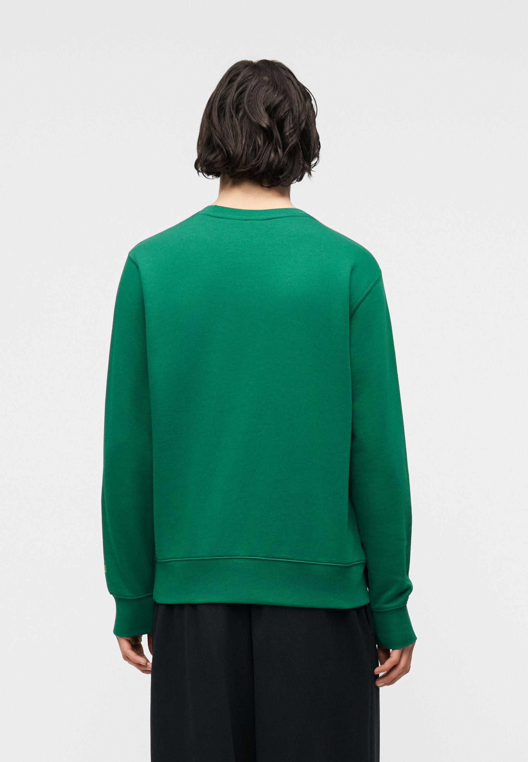 CREW UNISEX - Sweatshirt - malachite/lightening