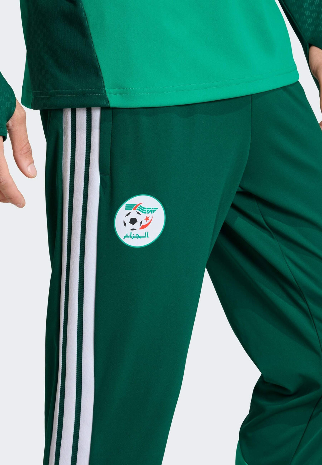 ALGERIA 26 TRAINING - National team wear - team dark green