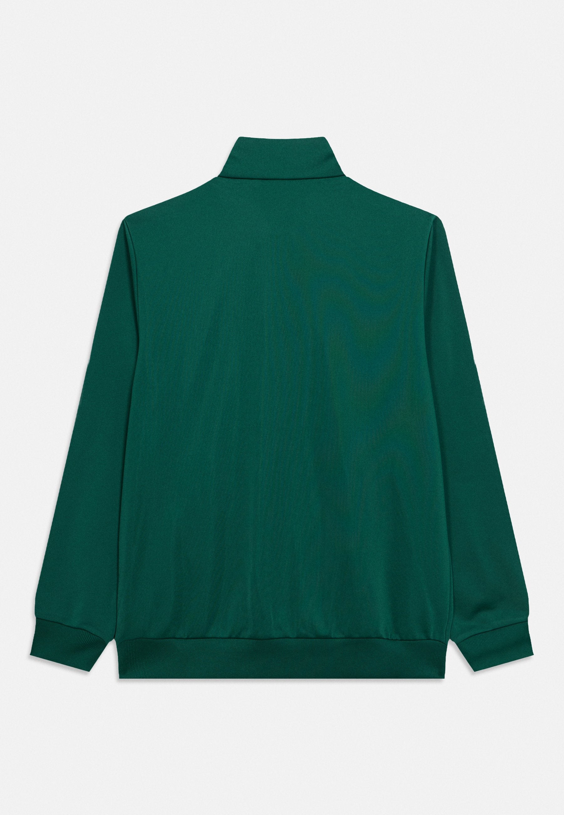 FIREBIRD JUNIOR UNISEX - Sweat-shirt zippé - vert/blanc
