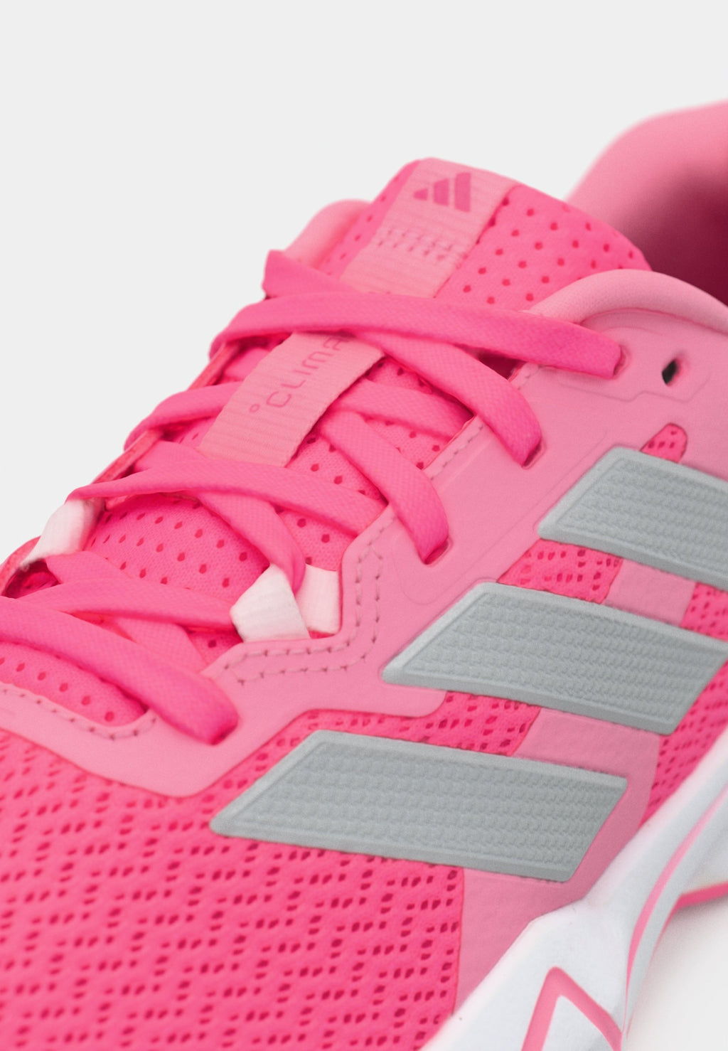 RAPIDMOVE GO - Training shoe - lucid pink/silver-coloured metallic/bliss pink