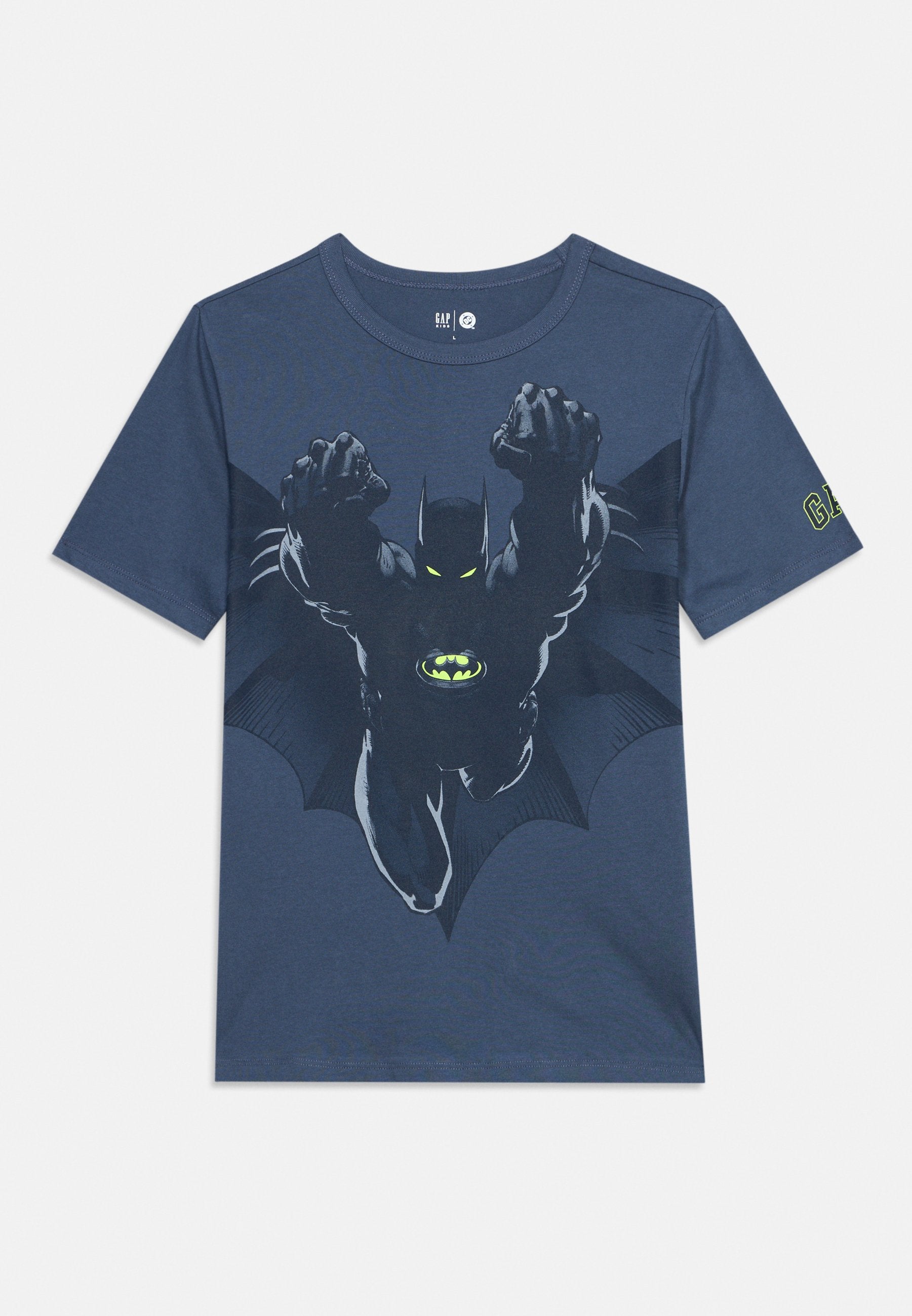Print T-shirt - blue ridge