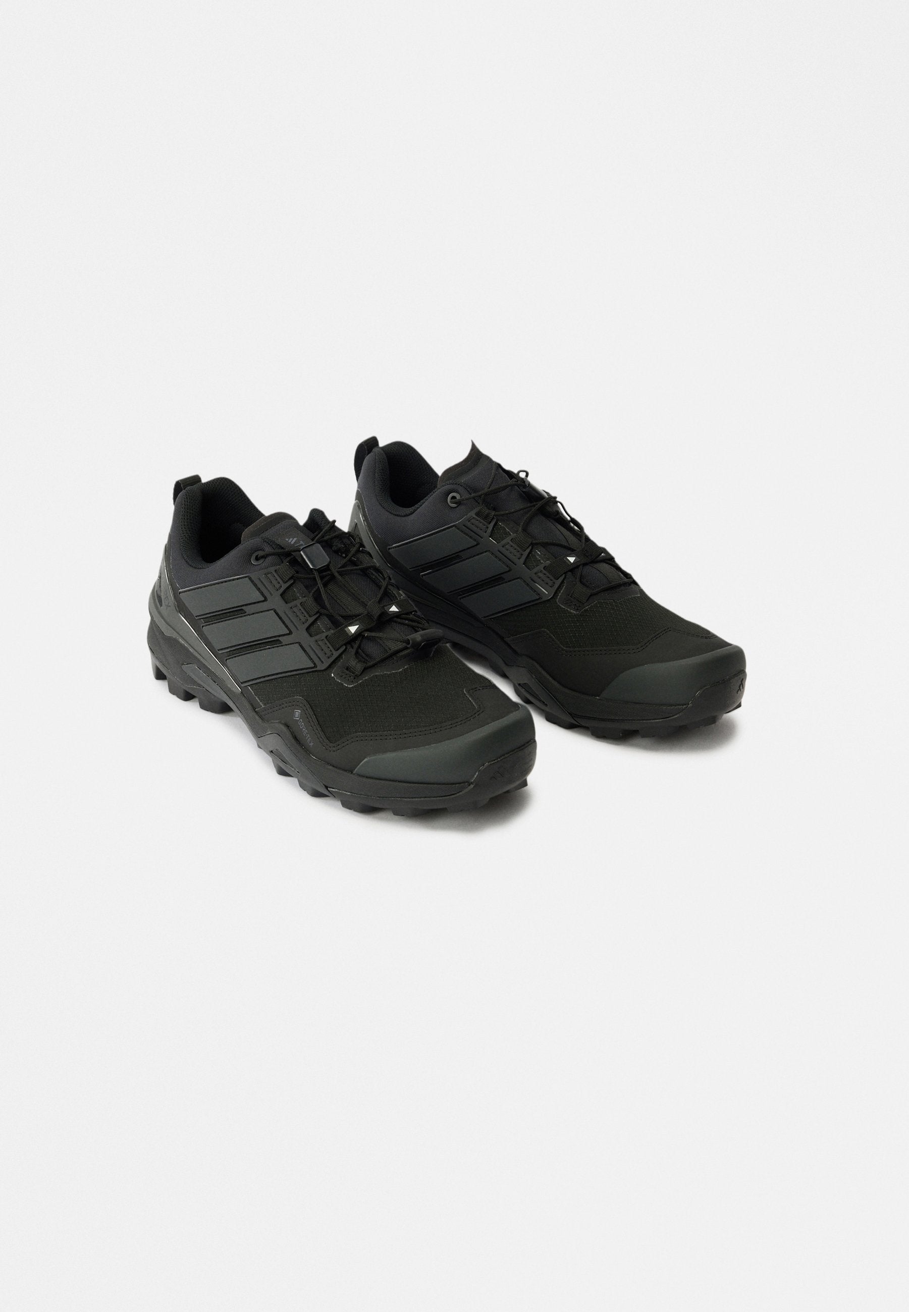 TERREX SKYCHASER GORE-TEX HIKING SHOES - Hiking shoes - core black/core black