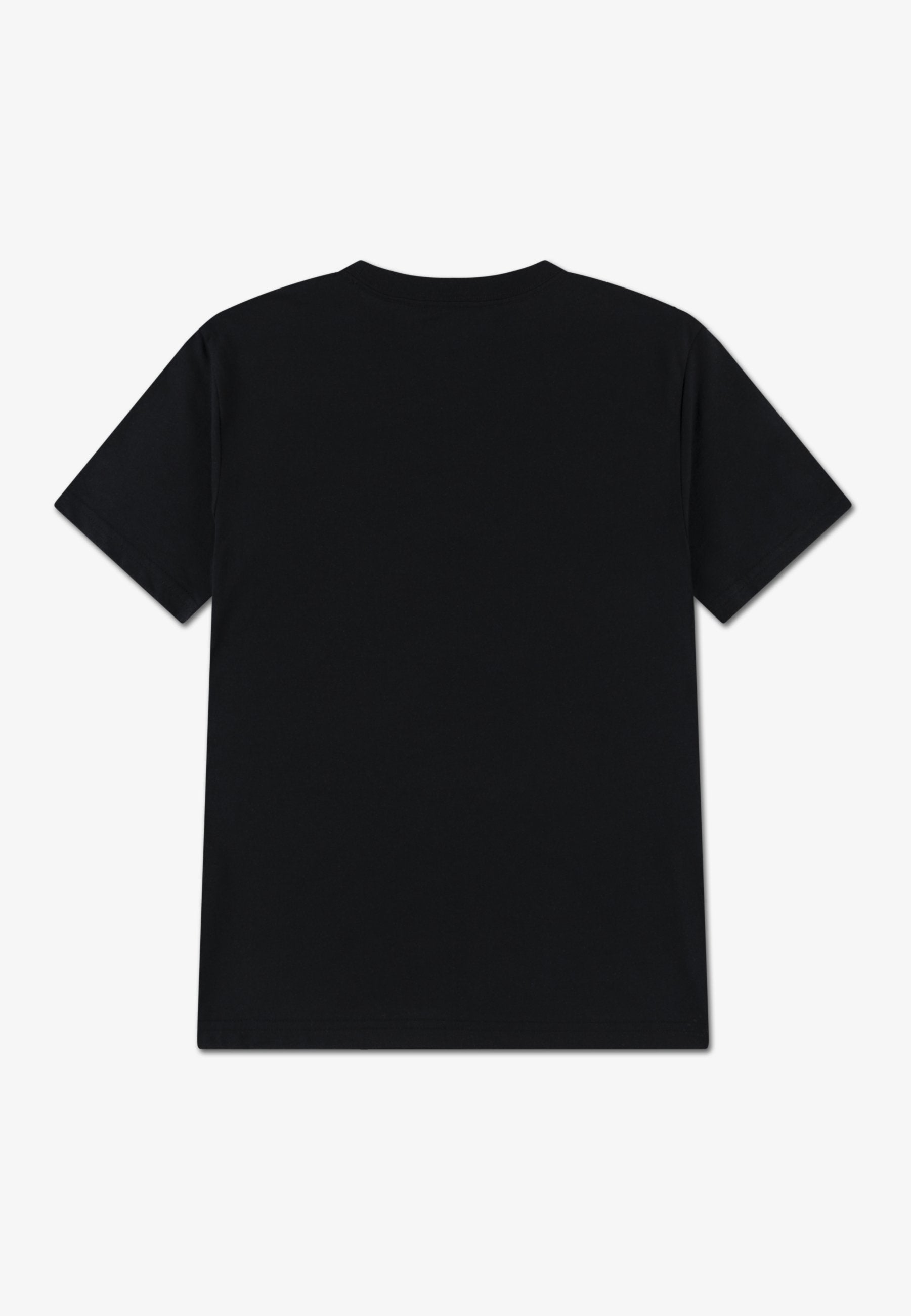 DISSECTED - Basic T-shirt - black