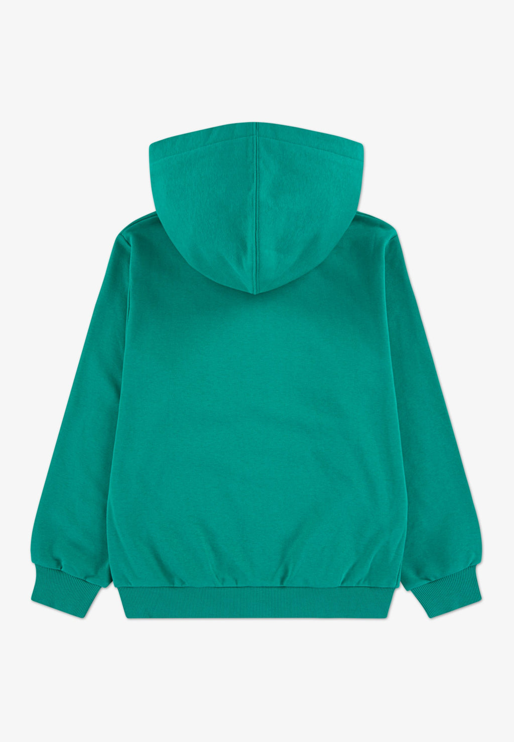 Zip-up sweatshirt - lizard breath