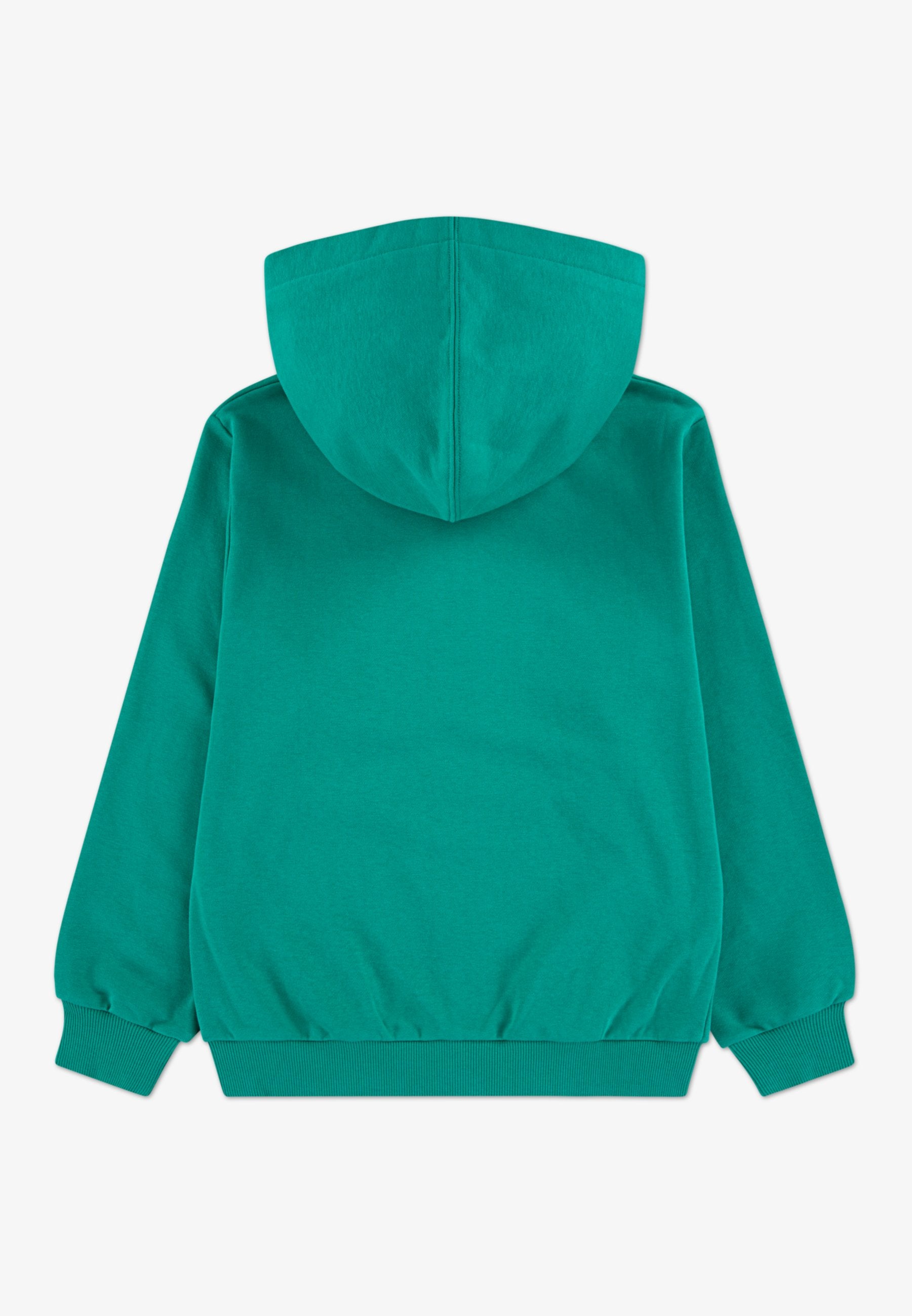 Zip-up sweatshirt - lizard breath