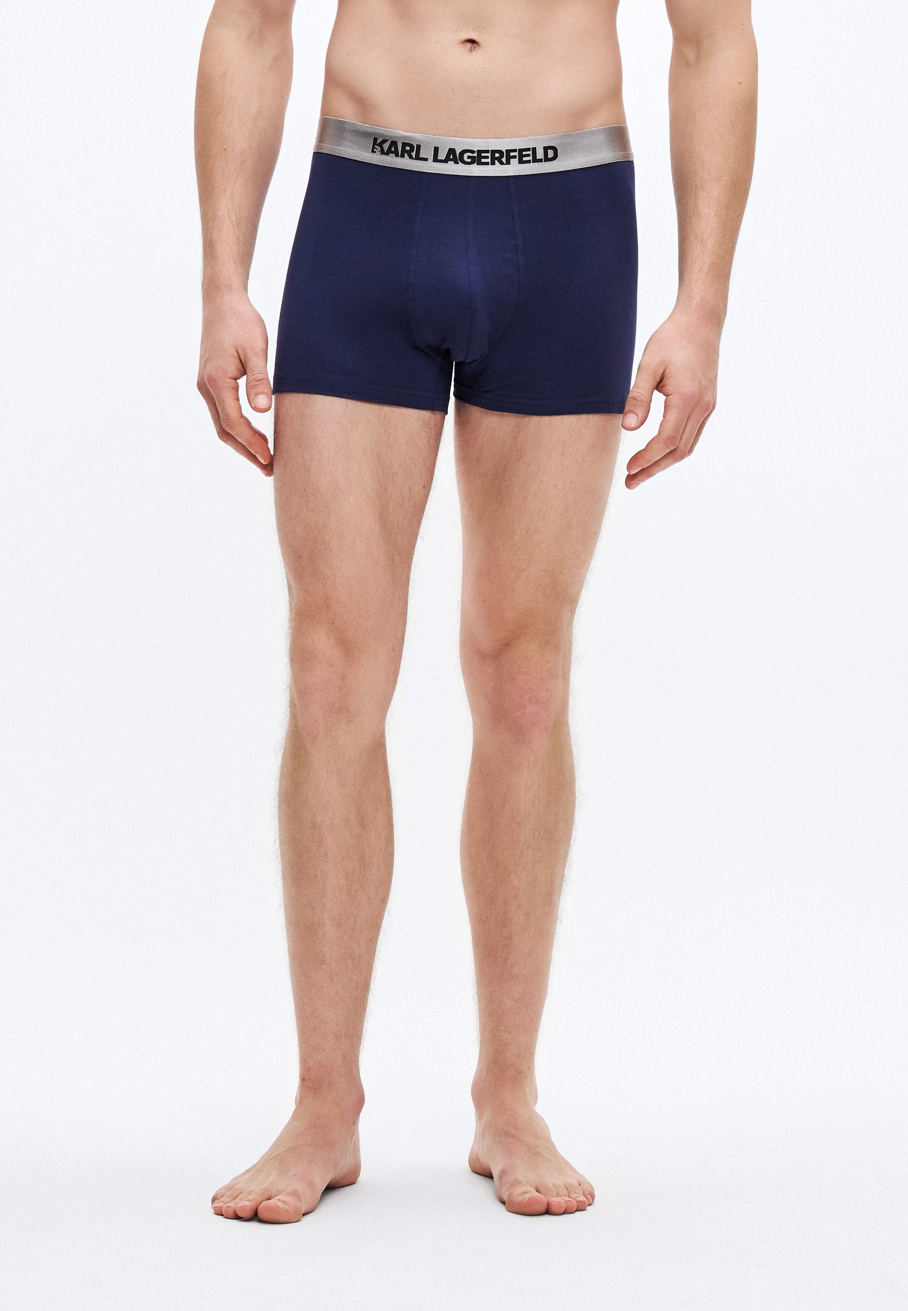 METALLIC TRUNK 3 PACK - Trunks - navy/coffee/malt