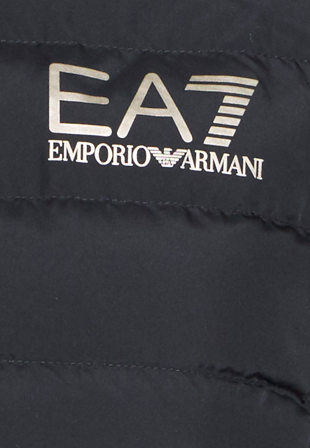 JACKET - Light jacket - black/gold
