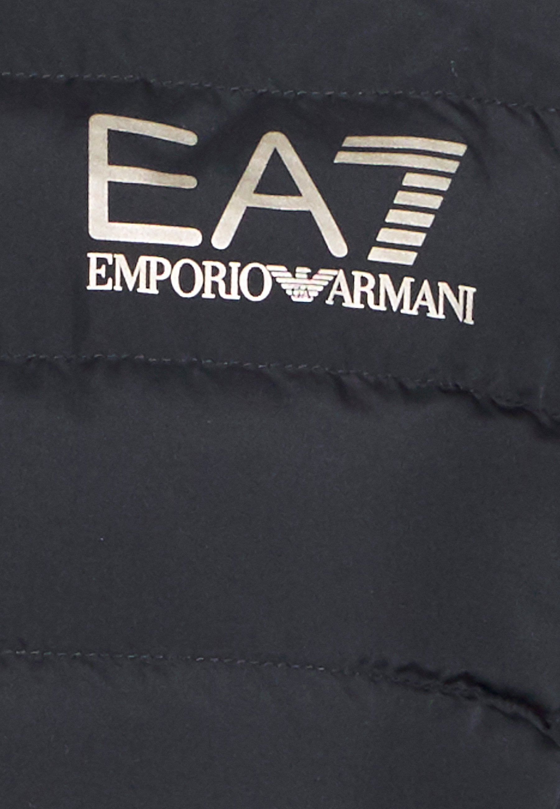 JACKET - Light jacket - black/gold