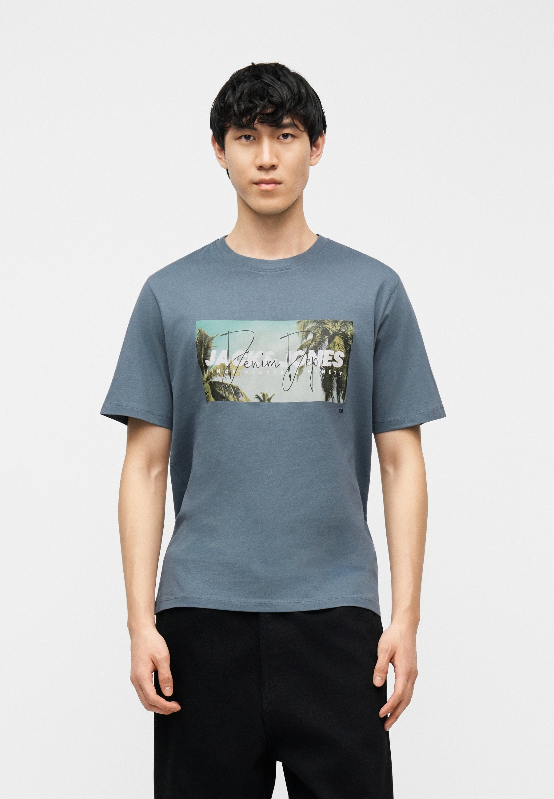 JJINDIANA TEE CREW NECK - Print T-shirt - blue mirage
