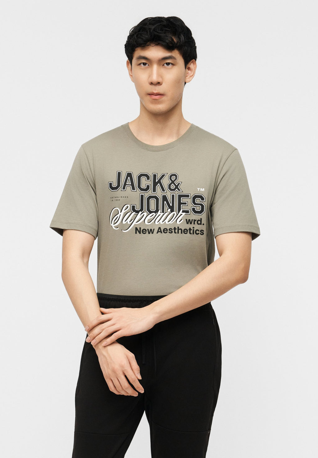 JJELOGO TEE O NECK 5 PACK - Print T-shirt - vetiver/blue mirage/mineral blue/atlantic deep/navy blazer