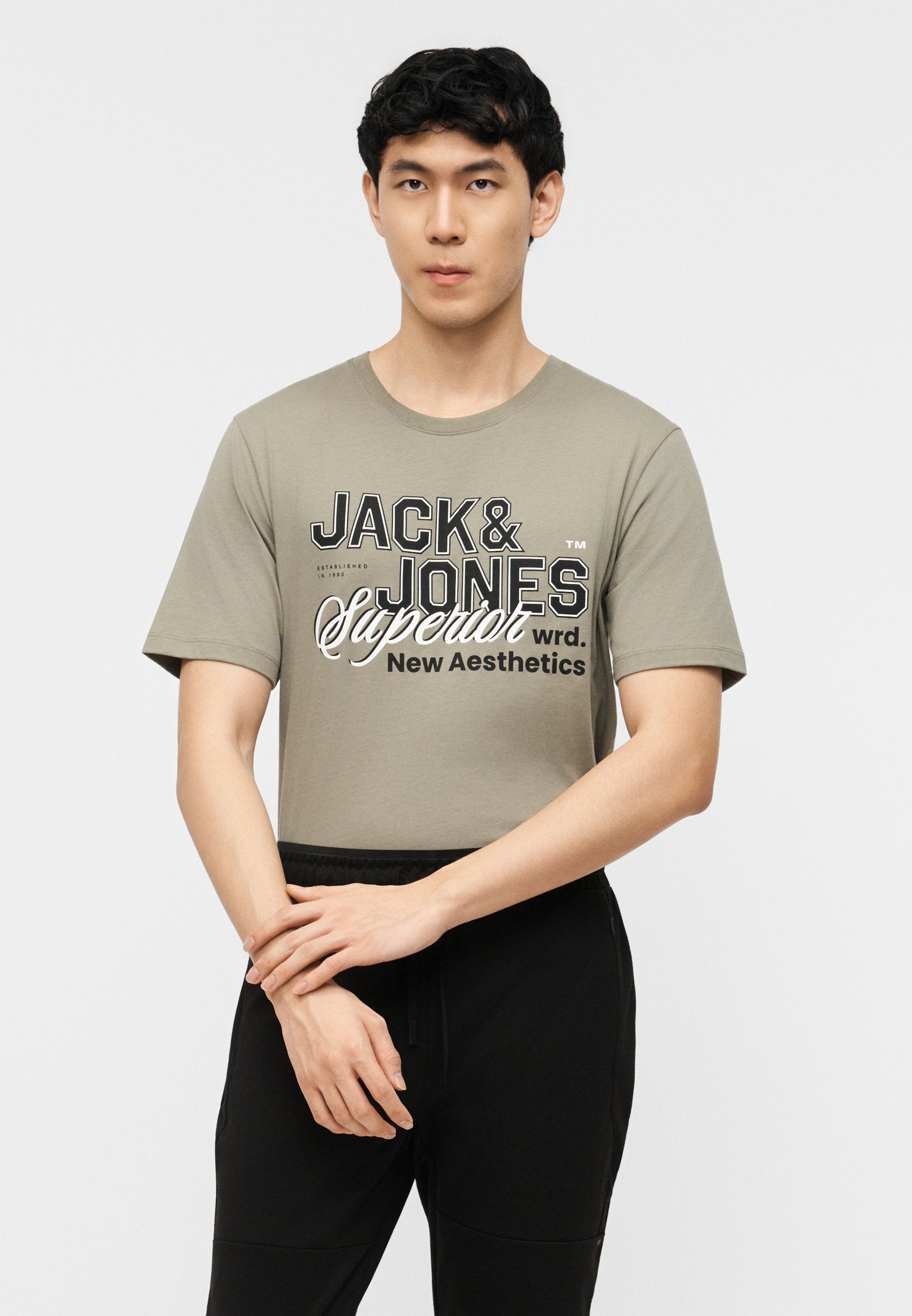 JJELOGO TEE O NECK 5 PACK - Print T-shirt - vetiver/blue mirage/mineral blue/atlantic deep/navy blazer