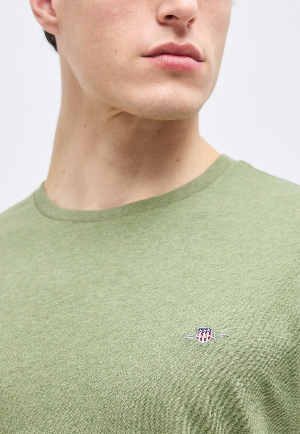 REG SHIELD SS T-SHIRT - Basic T-shirt - dark cactus melange