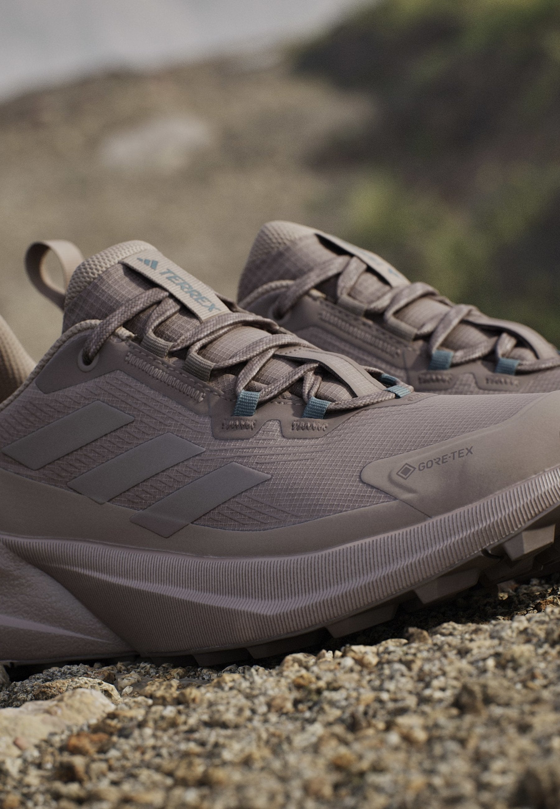 TRAILMAKER 2 GORE TEX - أحذية مشي - بني ترابي/بني طباشيري