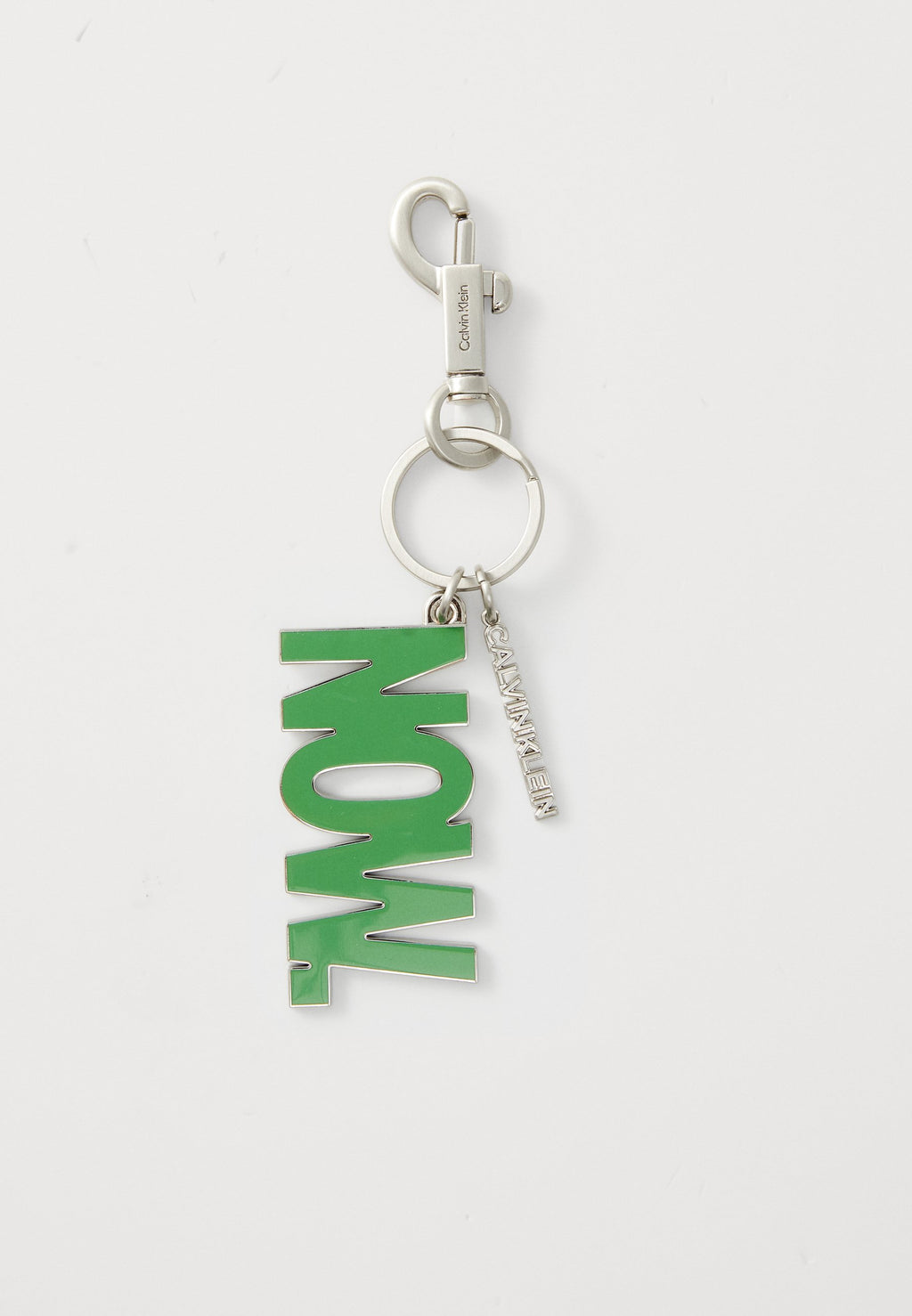 WORD GRAPHIC CAPSULE UNISEX - Keyring - silver-coloured/green