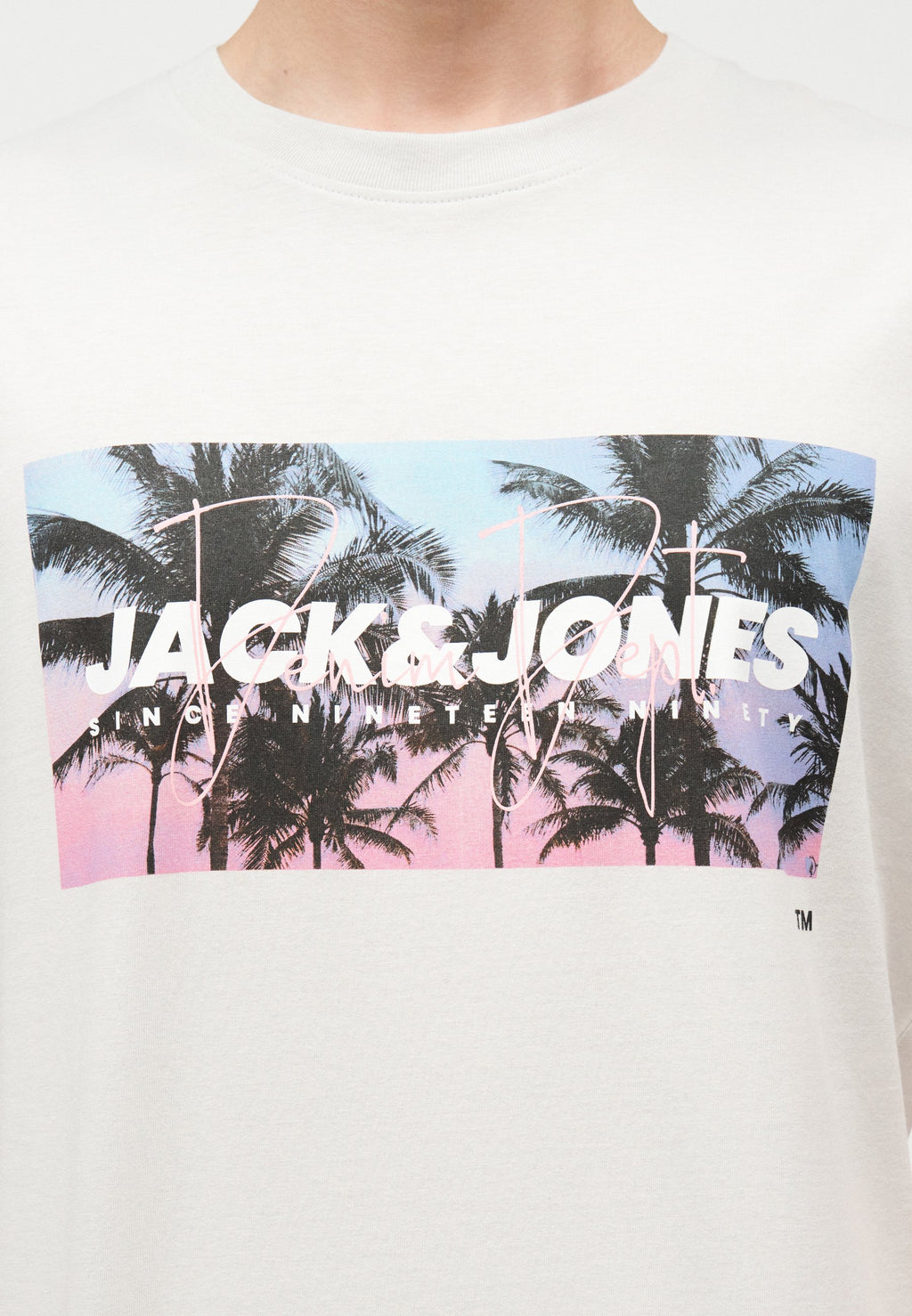 JJINDIANA TEE CREW NECK - Print T-shirt - glacier gray