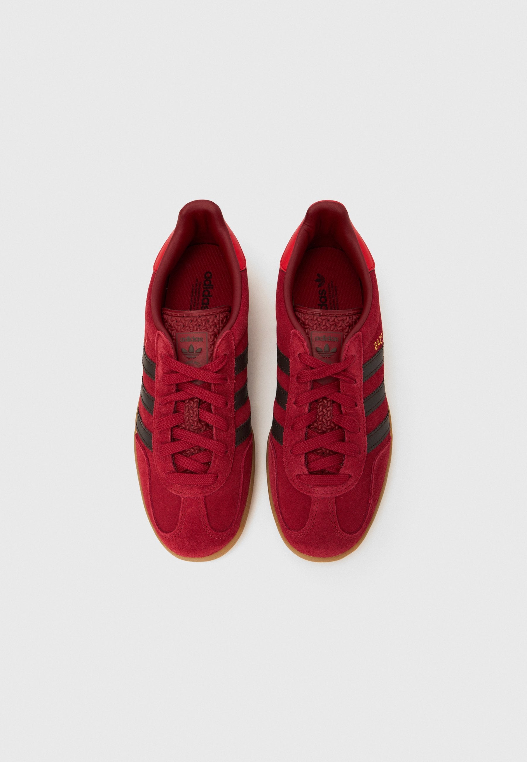 GAZELLE INDOOR J UNISEX - Spor ayakkabı - team victory red/aurora coffee/red