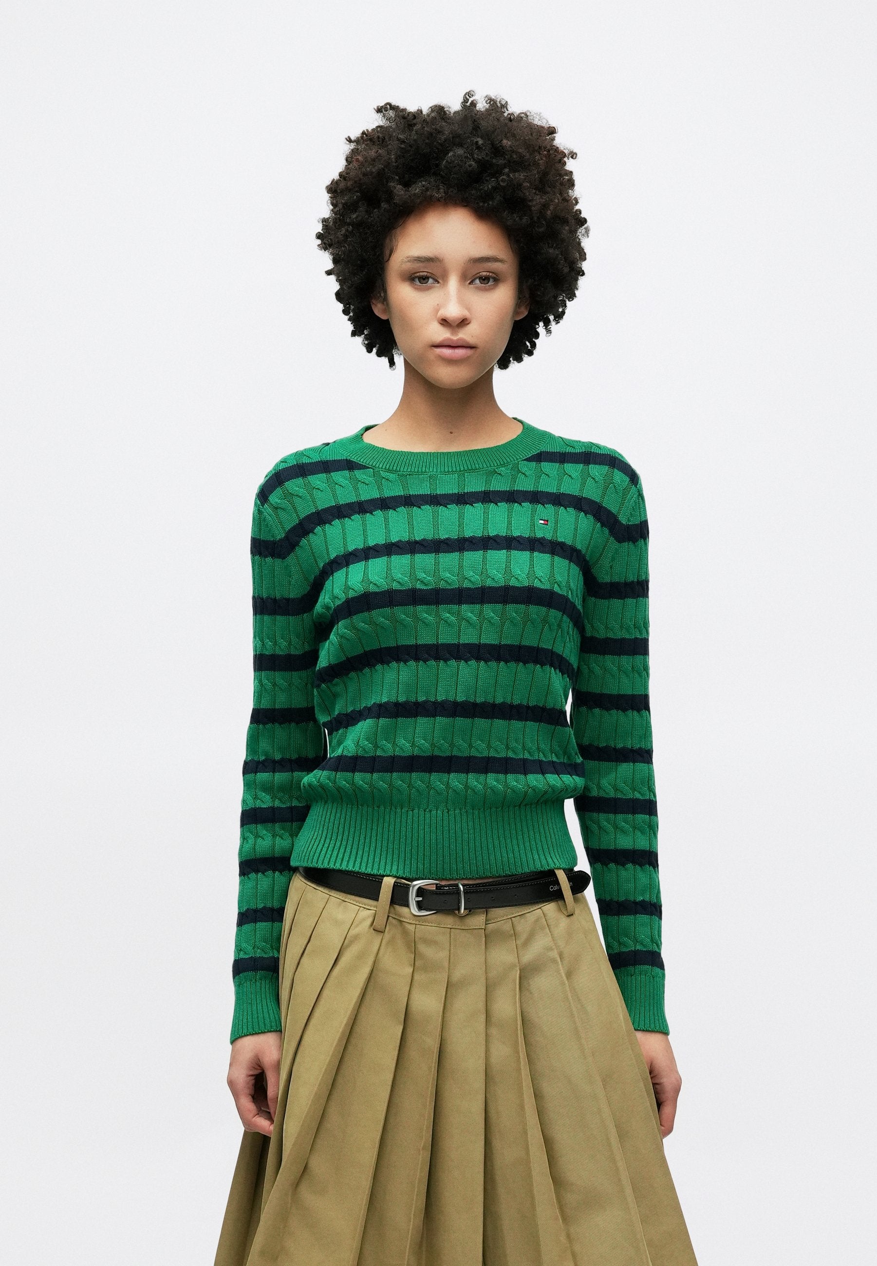 CABLE KNIT CREW NECK JUMPER - Jumper - nouveau green/navy breton