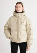 SHINE JACKET - Winter jacket - island fossil