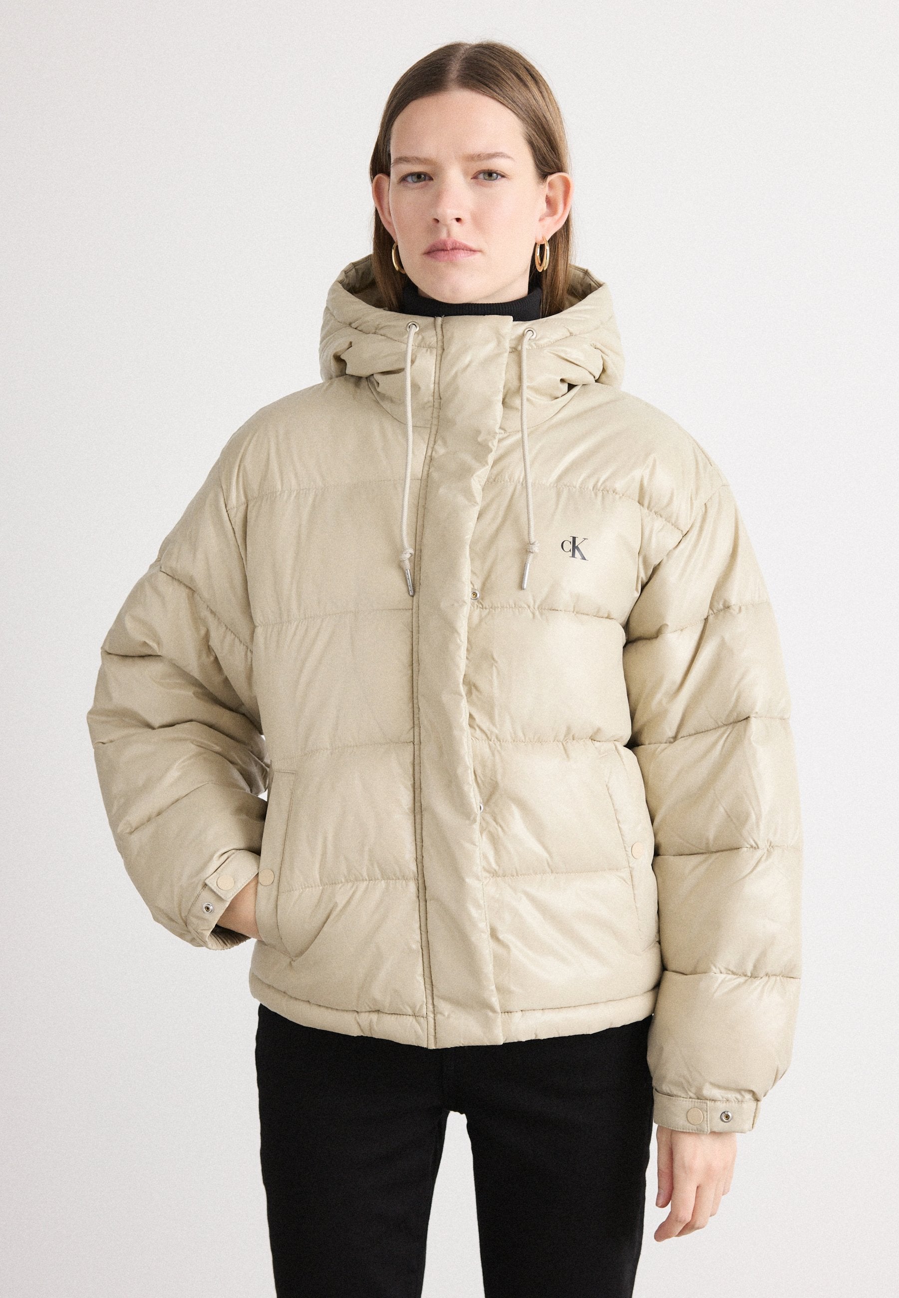 SHINE JACKET - Winter jacket - island fossil