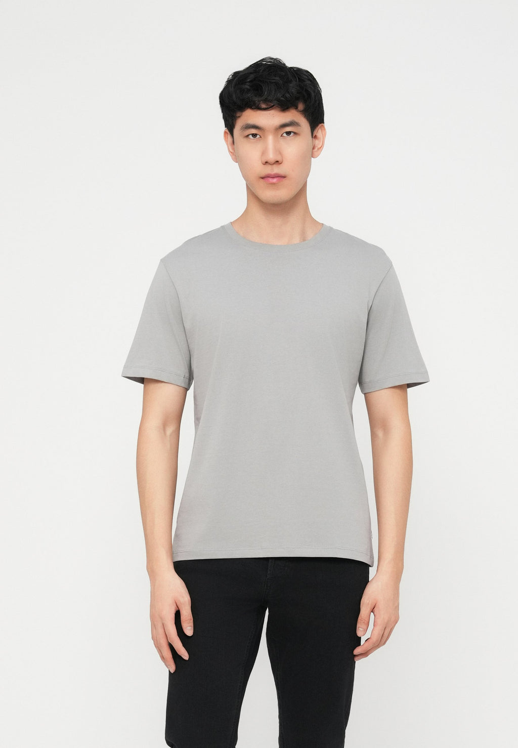 JJEORGANIC BASIC TEE O NECK 5 PACK - T-shirt basique - moonbeam/crockery/olive night/castlerock/ultimate grey