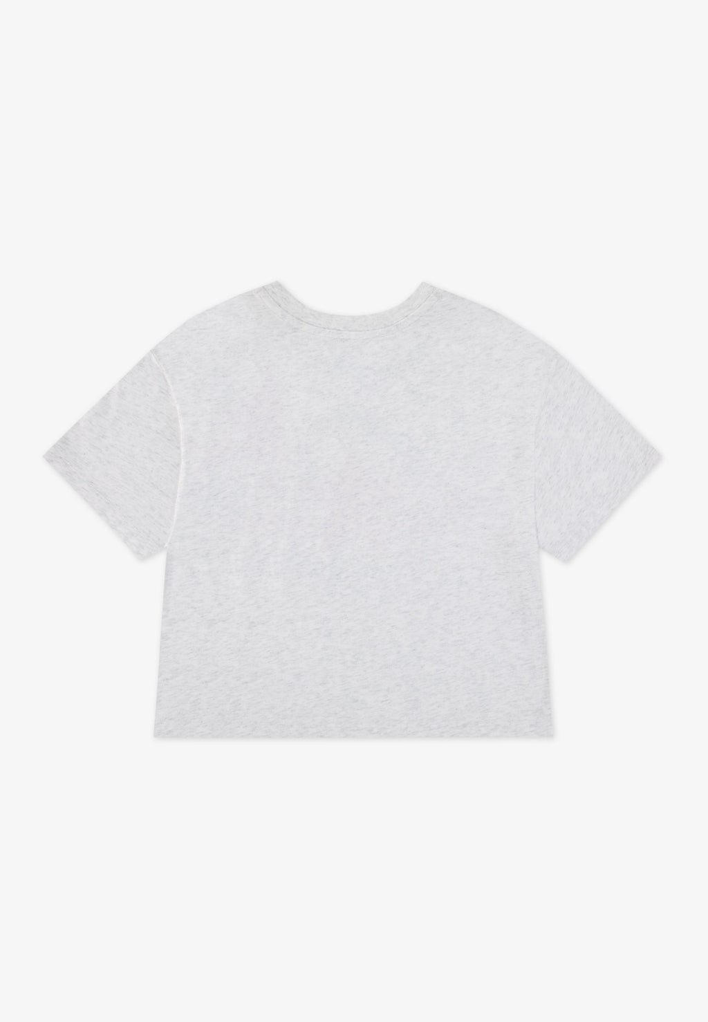 DISSECTED - Print T-shirt - birch heather/slacker blue