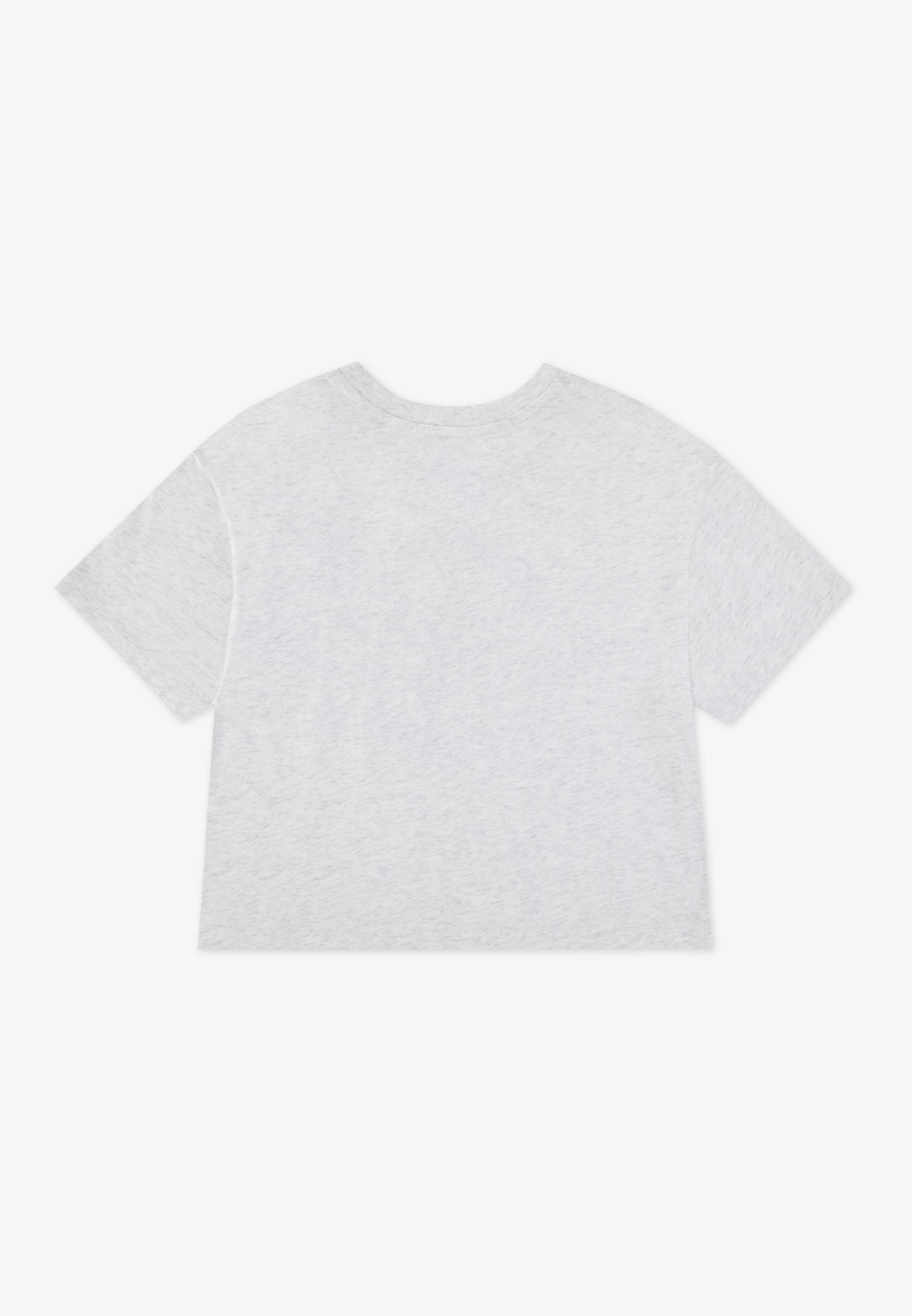 DISSECTED - Print T-shirt - birch heather/slacker blue