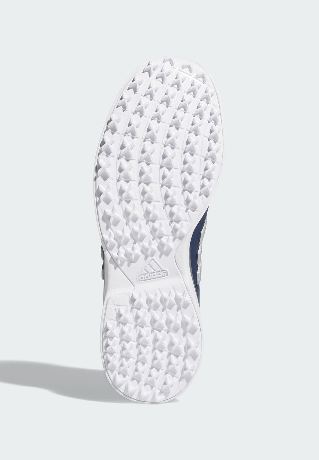 ALPHAFLEX ZOYSIA - Golf shoes - collegiate navy   silver metallic   cloud white