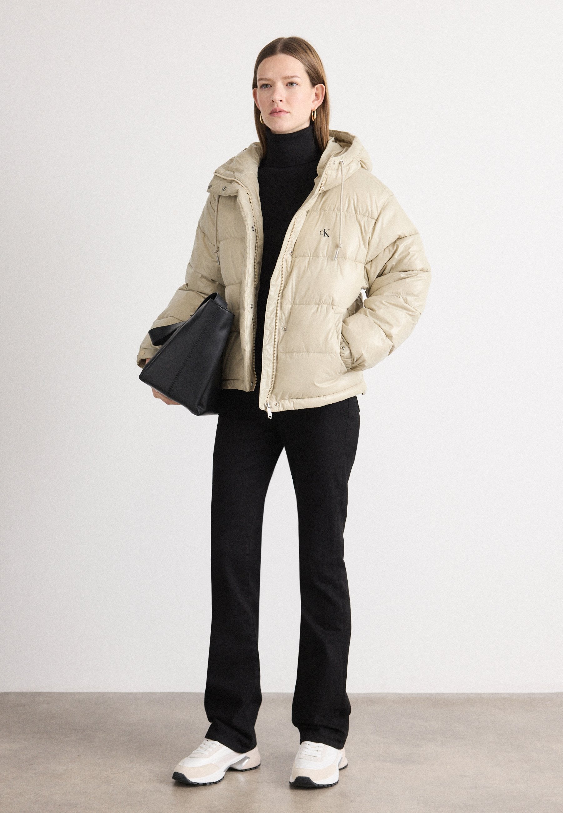 SHINE JACKET - Winter jacket - island fossil
