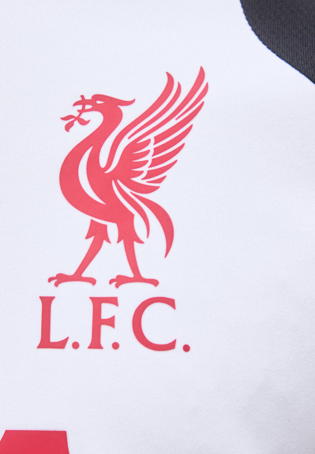 LIVERPOOL FC 26/27 TIRO TRAINING - Tenue de club - gris chiné