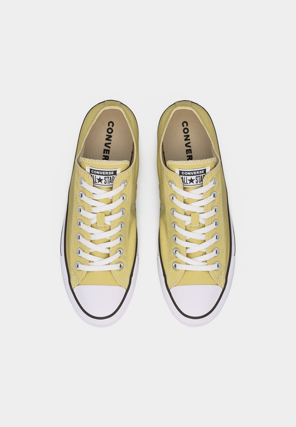 CHUCK TAYLOR ALL STAR UNISEX - Trainers - festival field