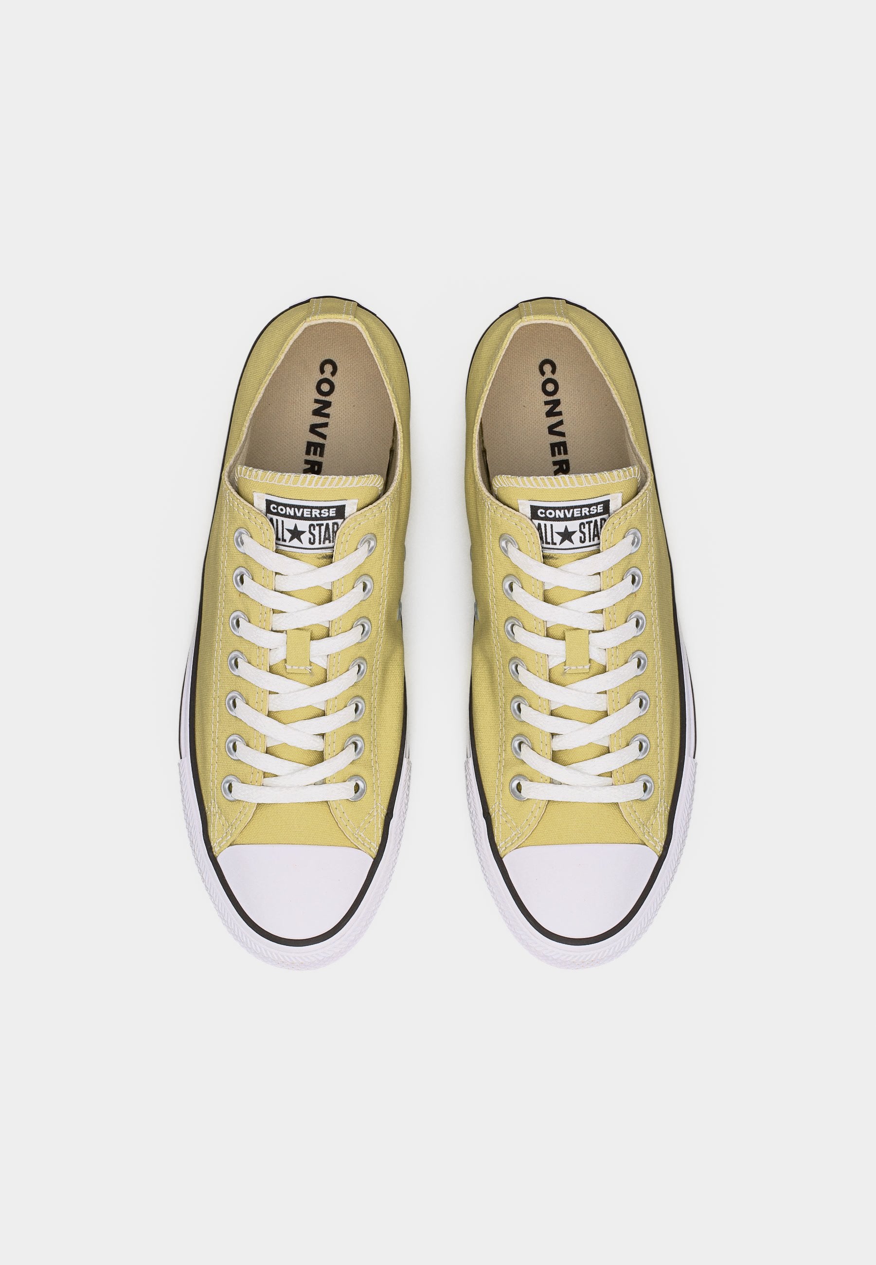 CHUCK TAYLOR ALL STAR UNISEX - Trainers - festival field