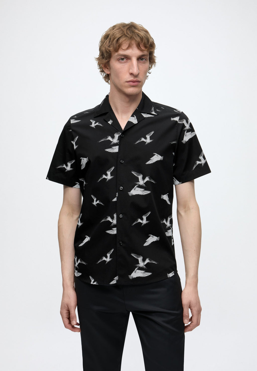ELLINO - Shirt - black