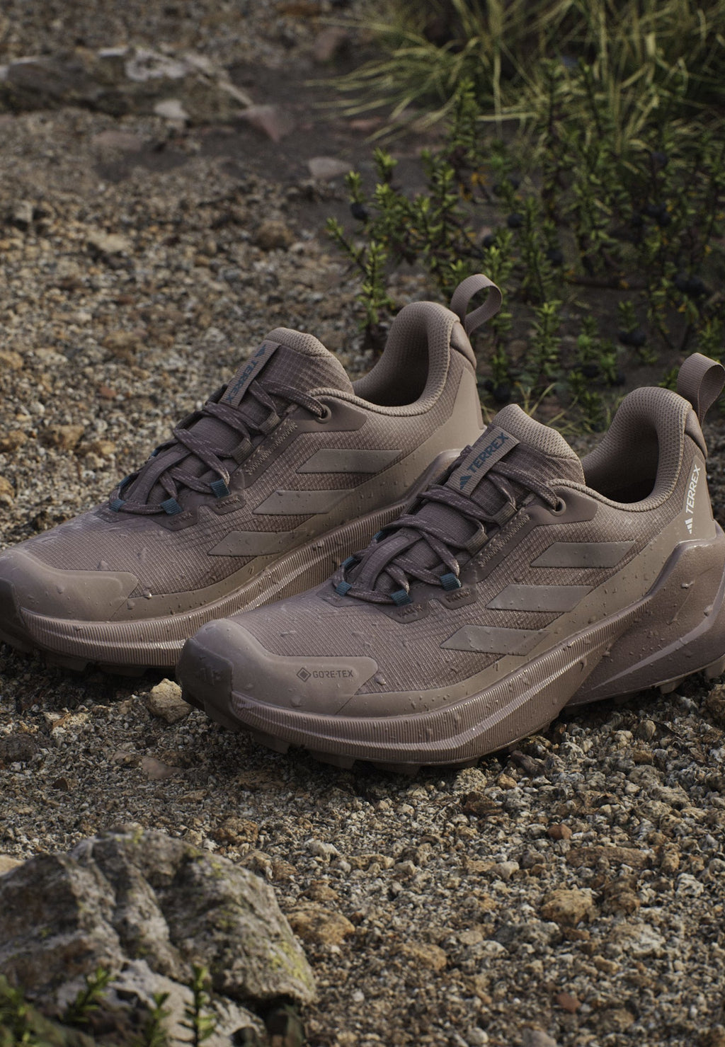 TRAILMAKER 2 GORE TEX - أحذية مشي - بني ترابي/بني طباشيري