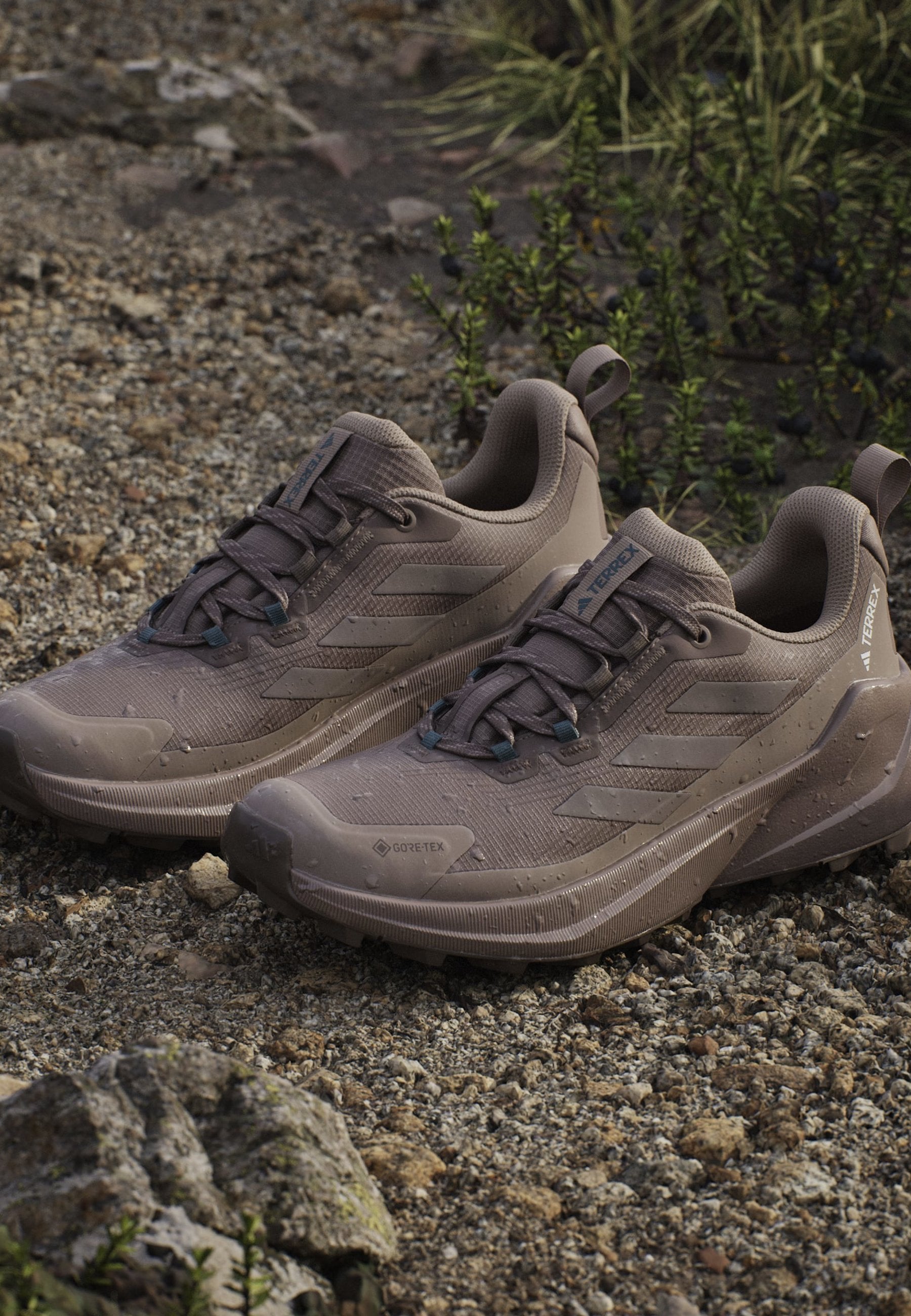 TRAILMAKER 2 GORE TEX - أحذية مشي - بني ترابي/بني طباشيري