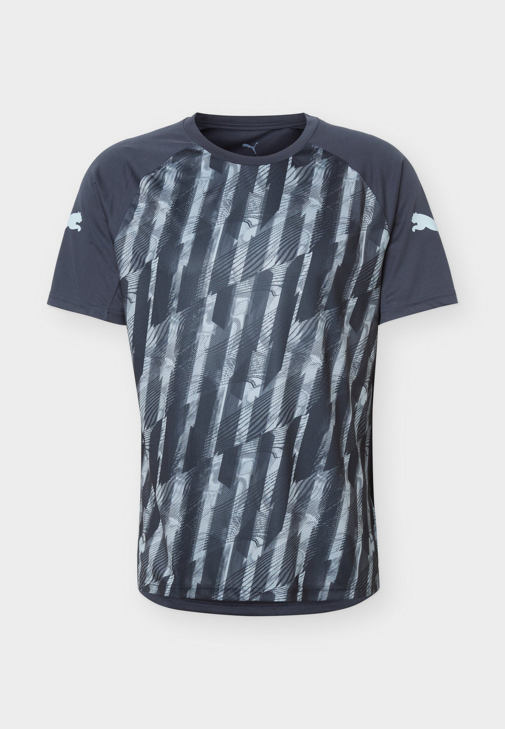 INDIVIDUALLIGA GRAPHIC  - Sports T-shirt - gray/vapor gray/icy blue