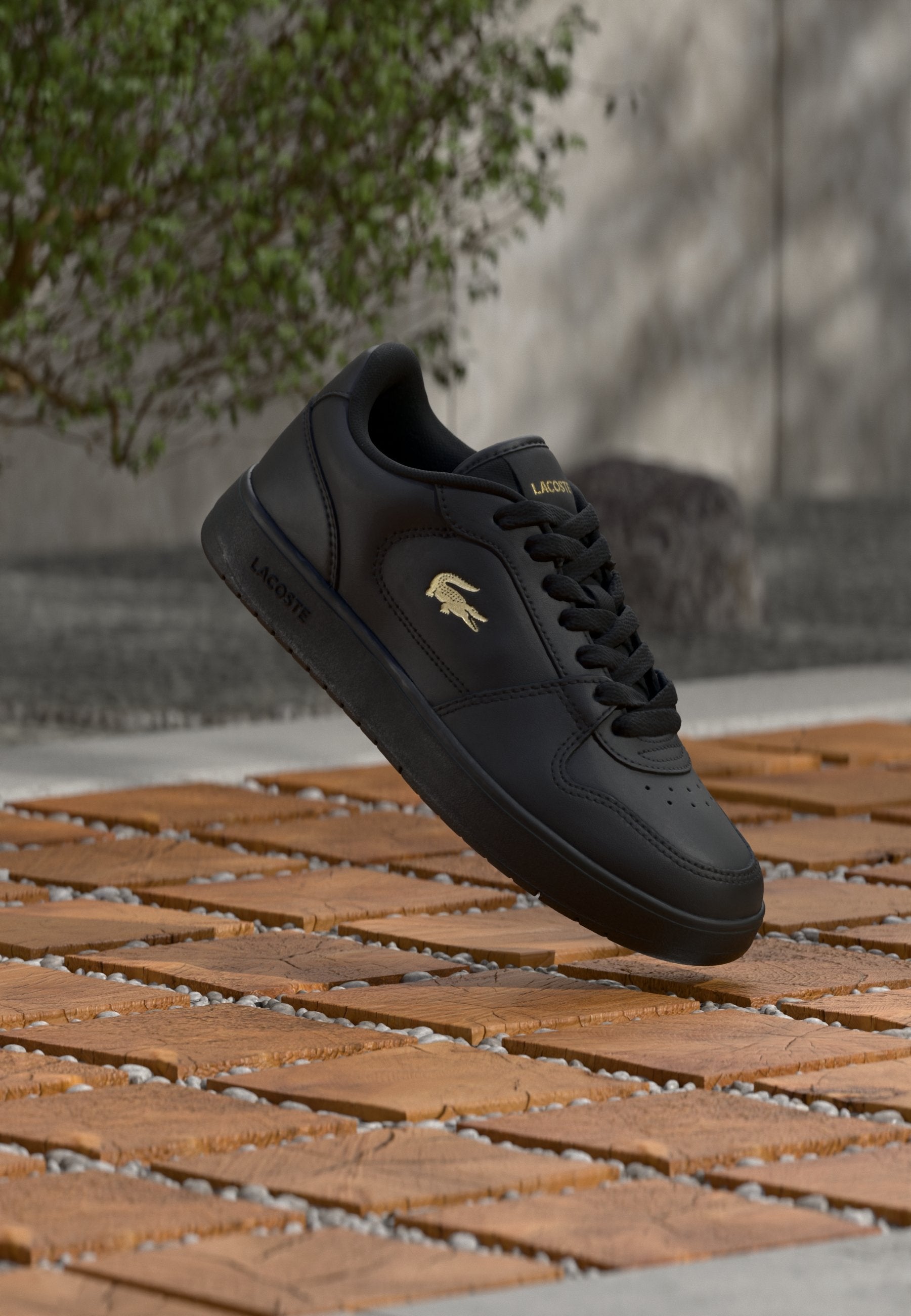 COURT ACE 126 - Trainers - black/gold-coloured
