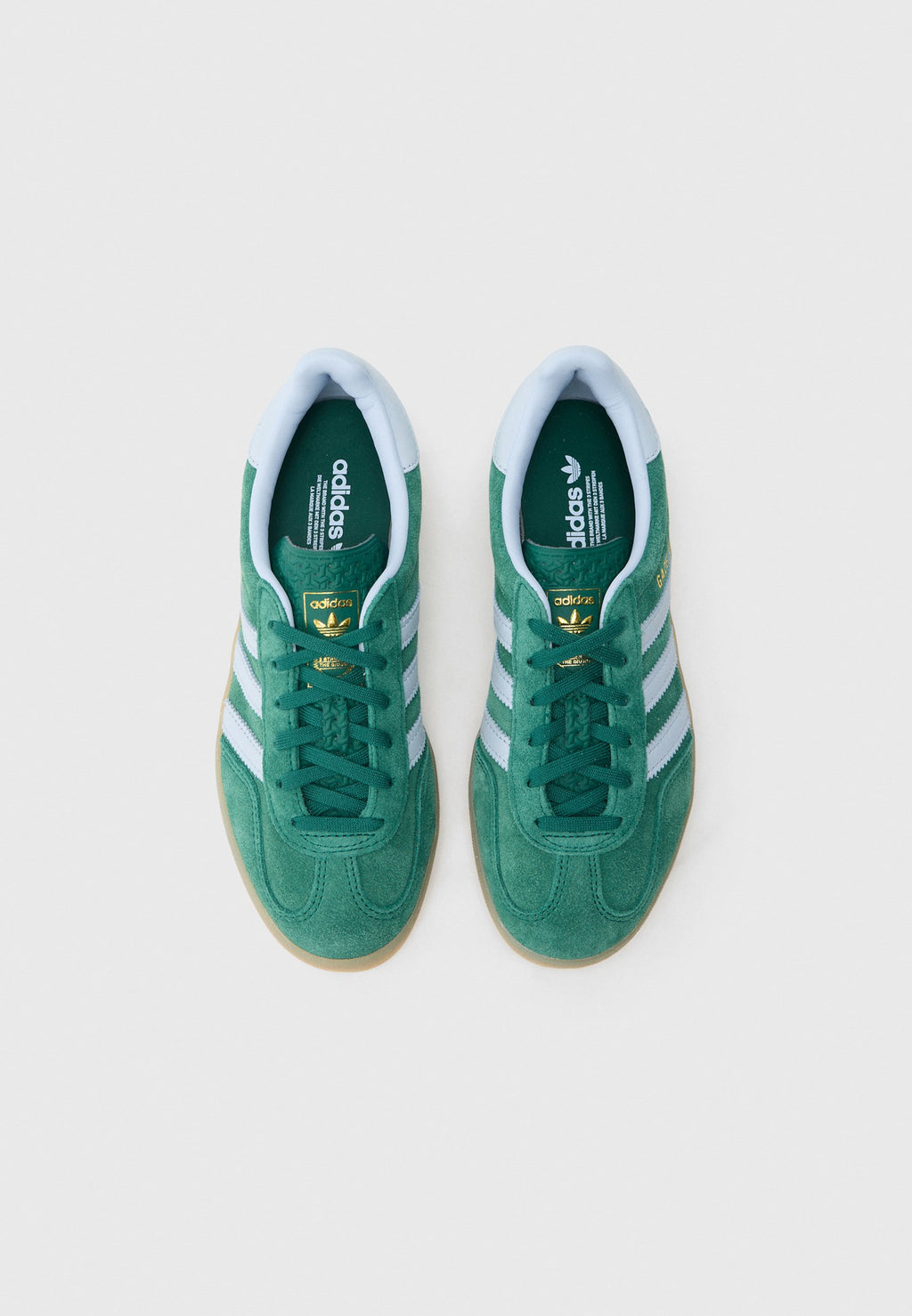 GAZELLE INDOOR - Trainers - collegiate green/crystal sky/gum