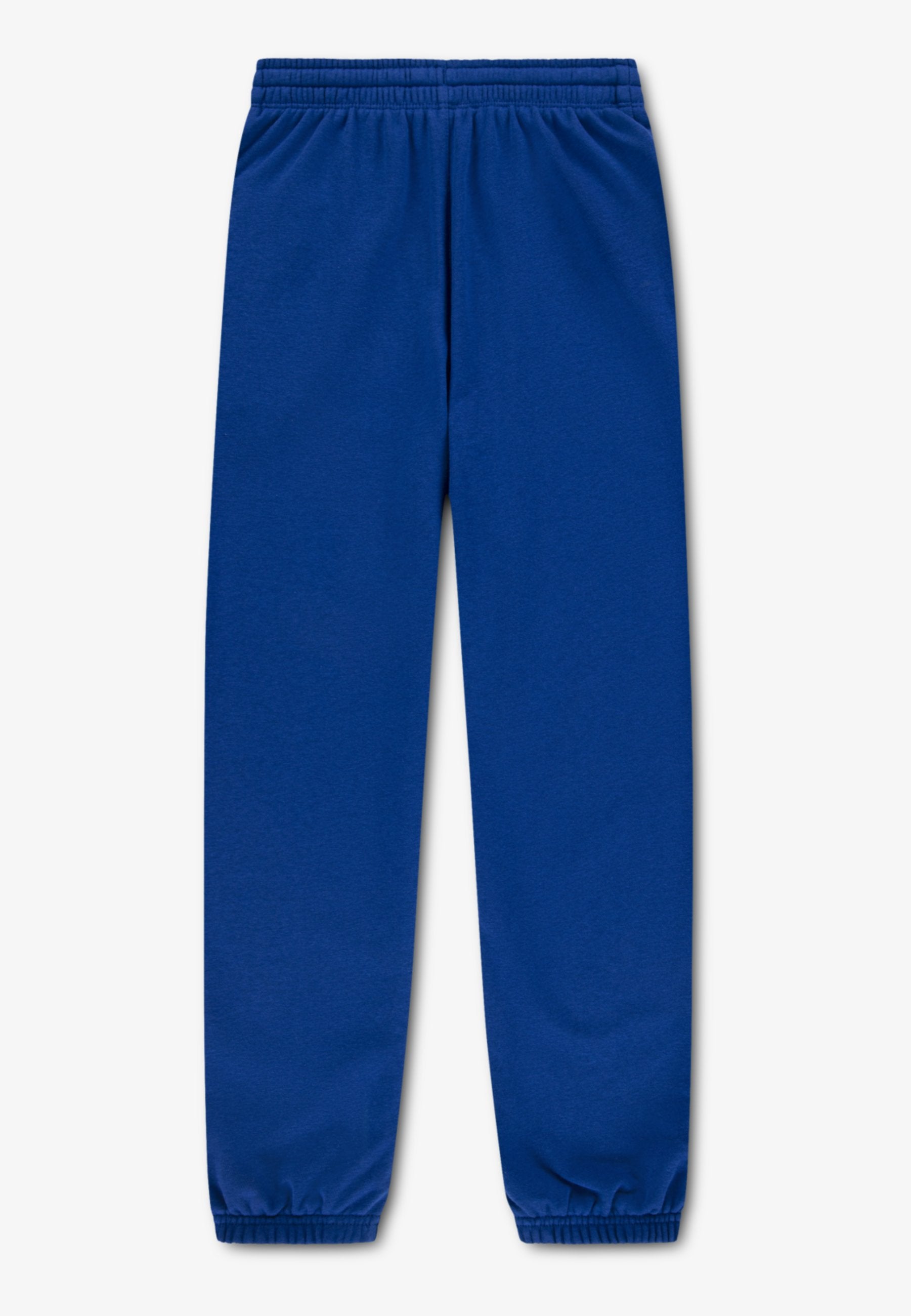 Tracksuit bottoms - blue