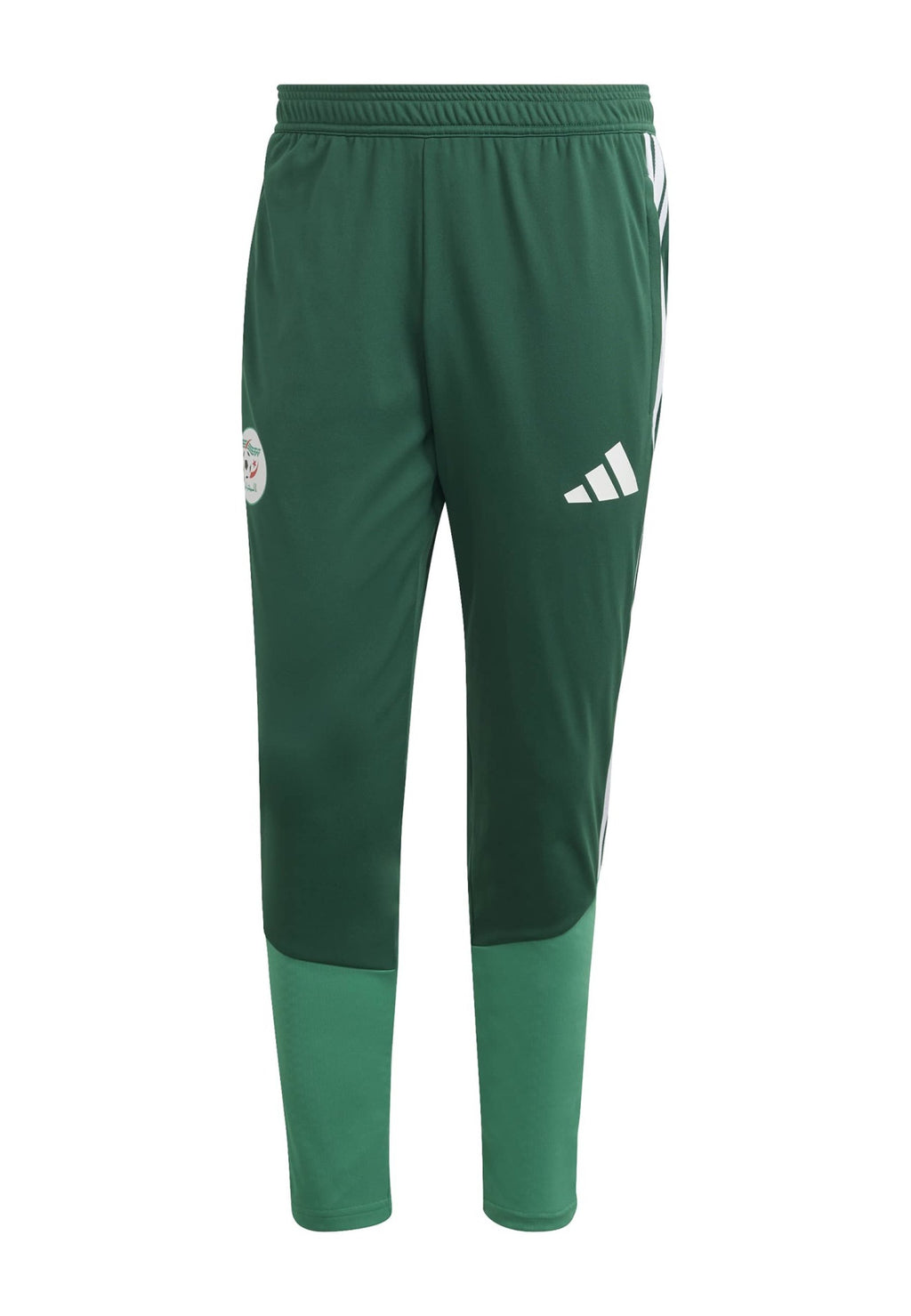 ALGERIA 26 TRAINING - National team wear - team dark green